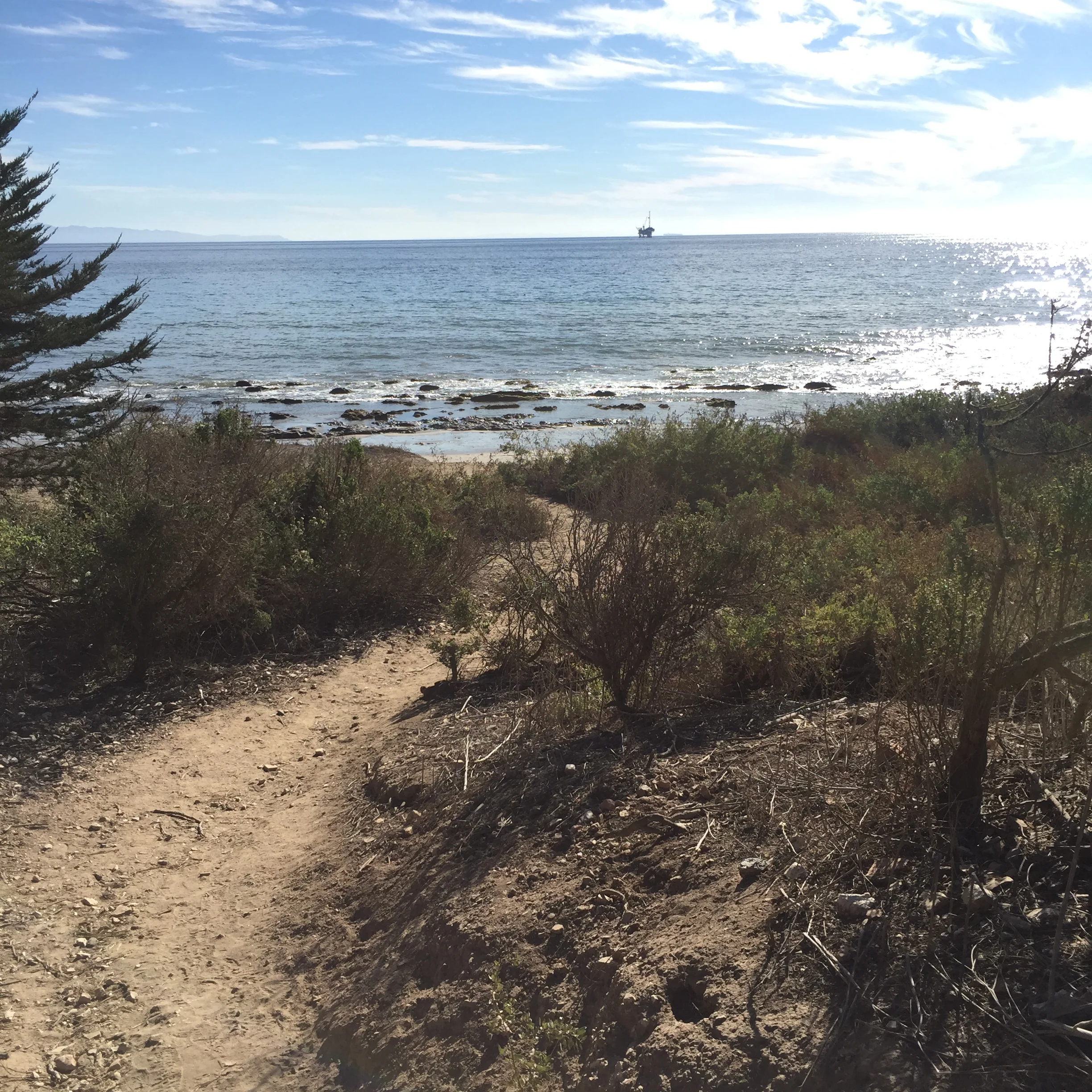 2015-11-08 13.55.14.jpg