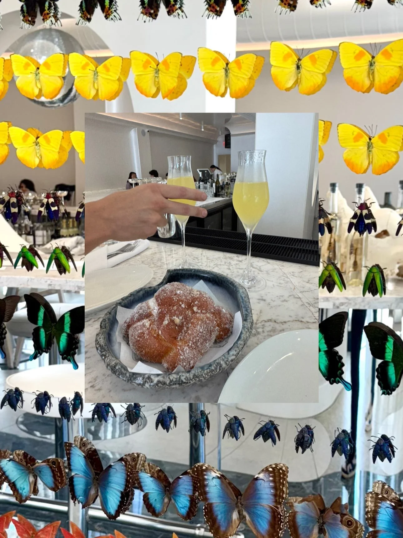 I usually think of Carne y Hueso for dinner, but brunch deserves just as much attention. The mimosa was perfect, the pancakes were light and fluffy, and the French toast was truly out of this world. The beautiful white interiors, mezcal bottles fille
