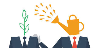 Business mentoring across the region 