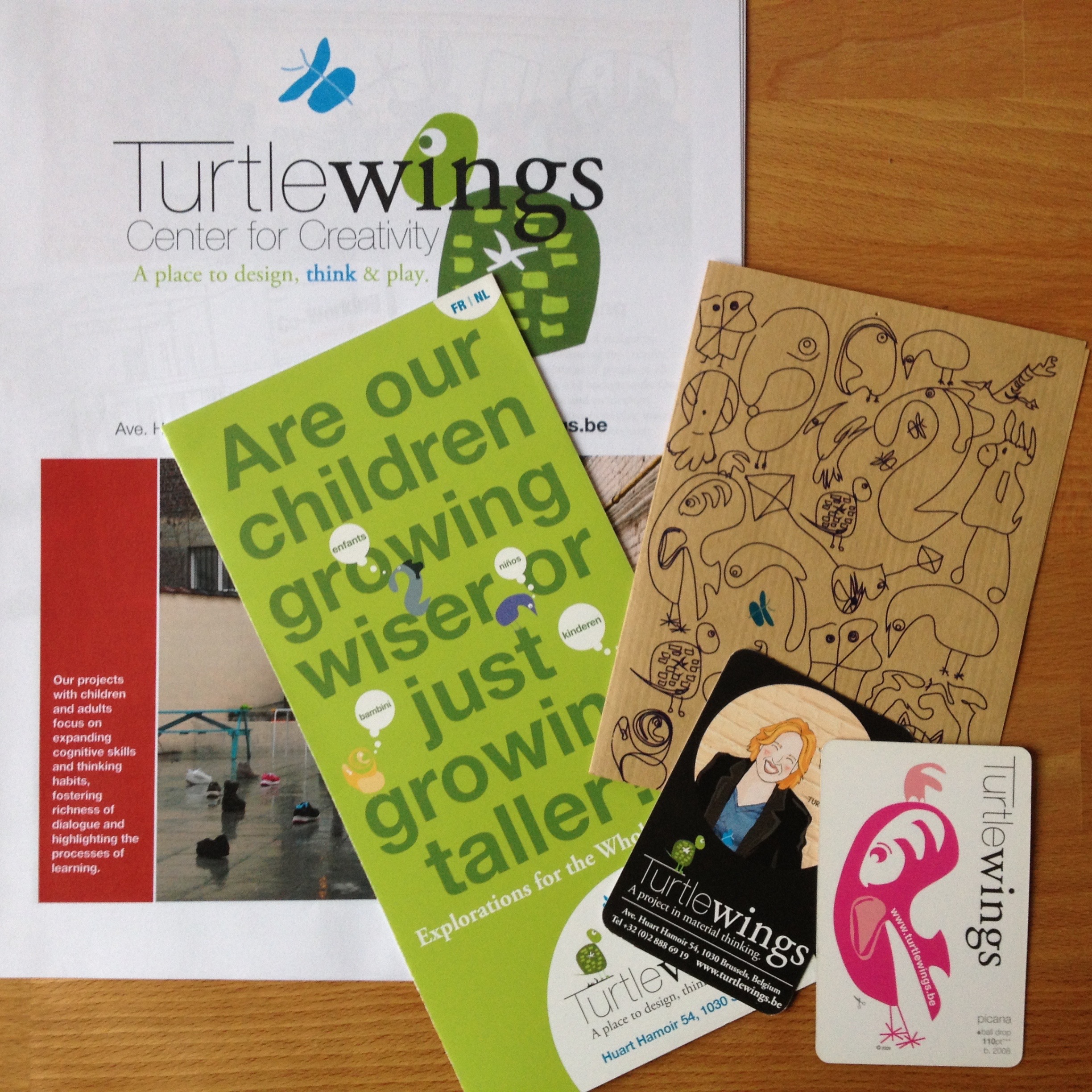 Turtlewings branding and marketing materials 2009-2014