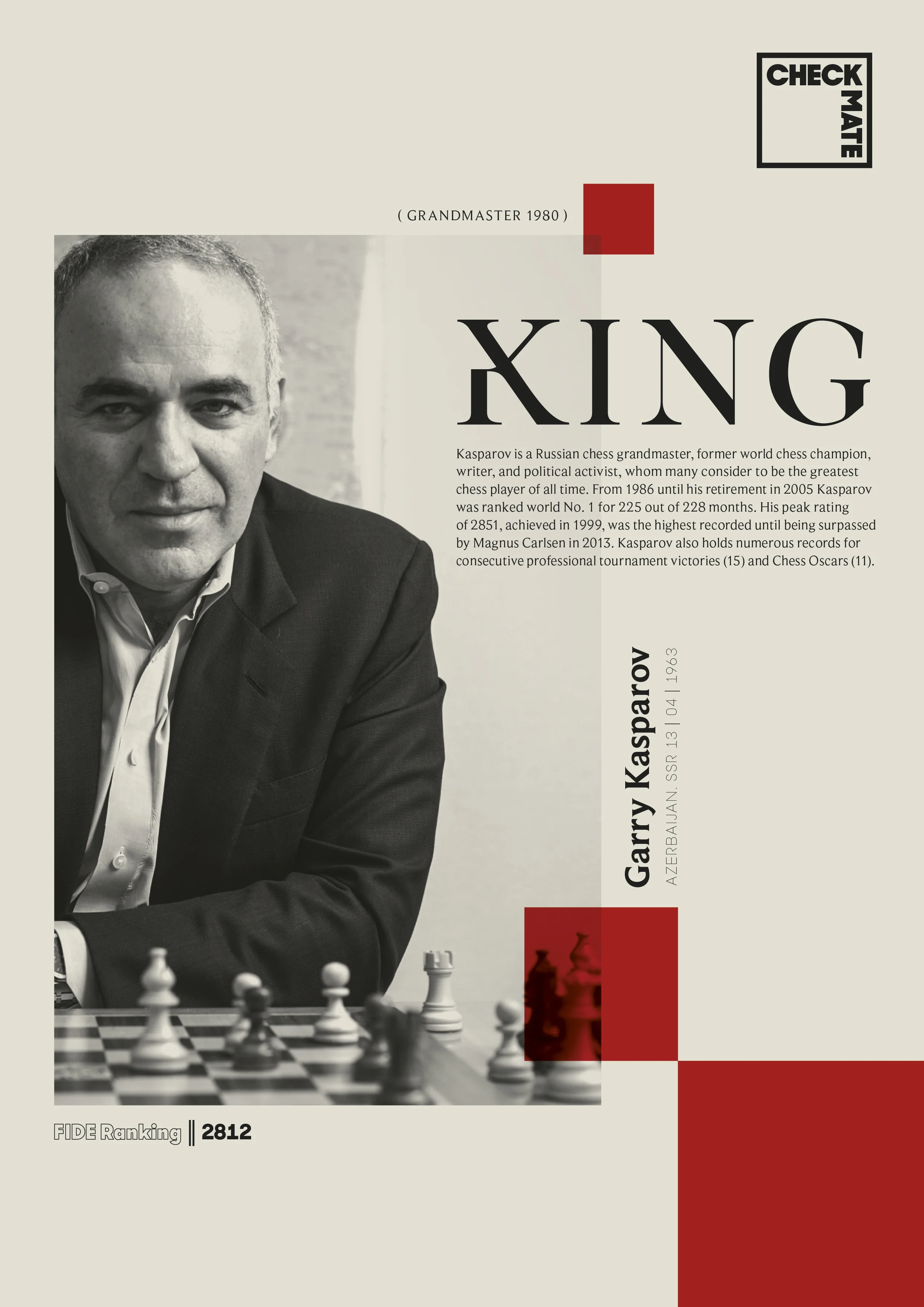 CHECK MATE_ info_sheets_297x210.jpg