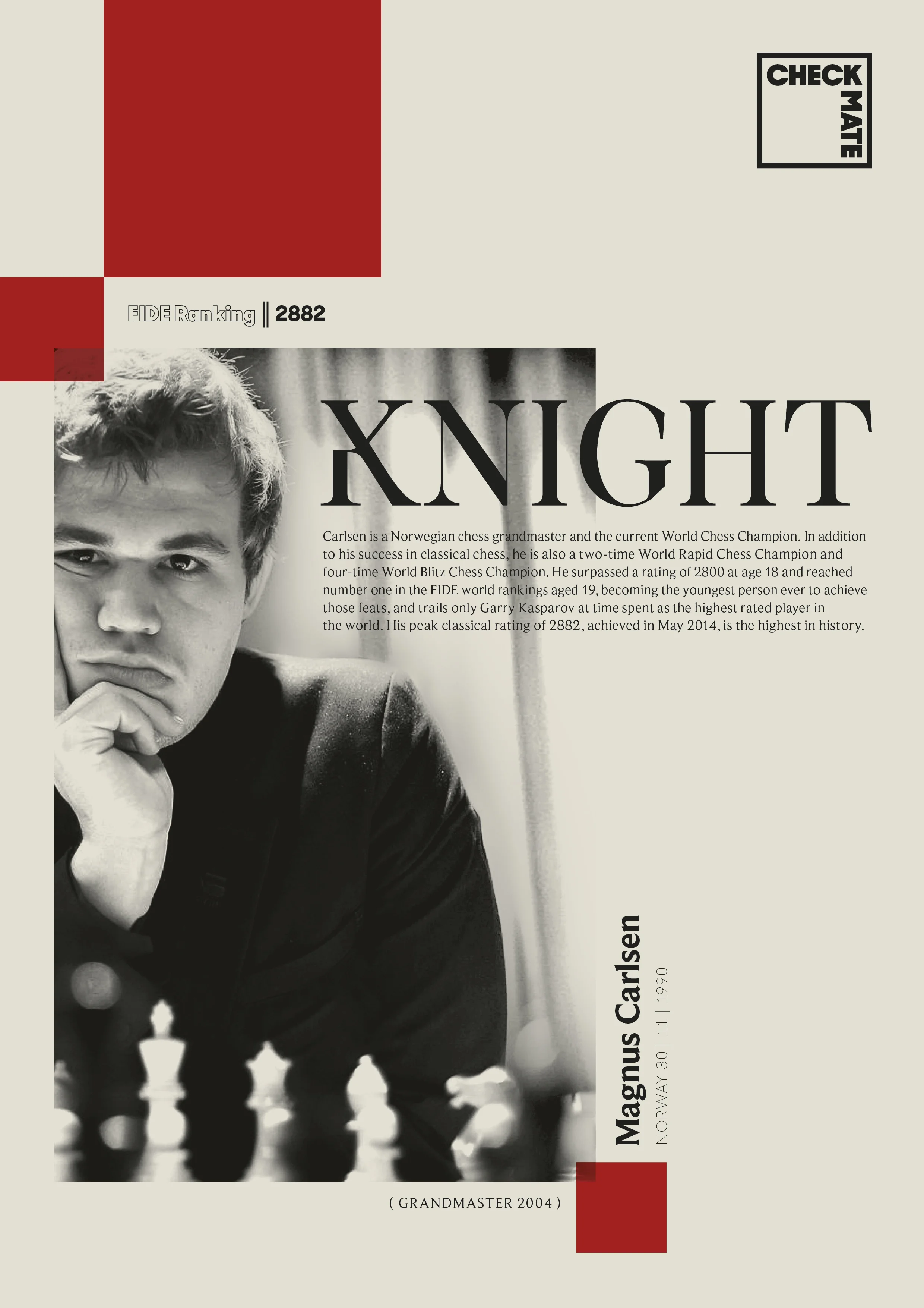 CHECK MATE_ info_sheets_297x2104.jpg