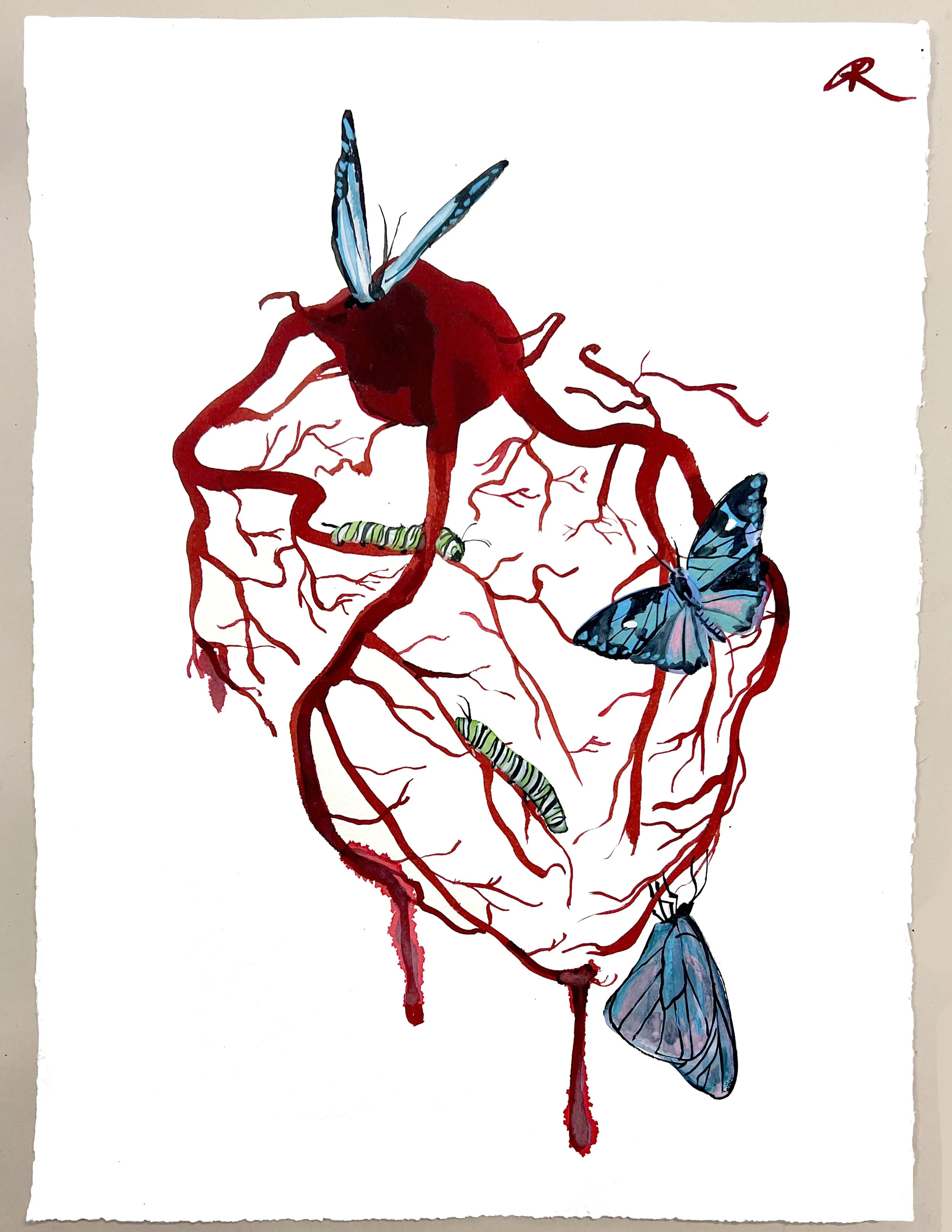 BUTTERFLIES.jpg