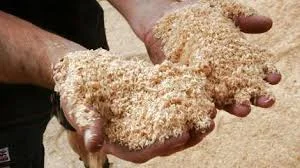 Stop trying to saw Sawdust...You can't