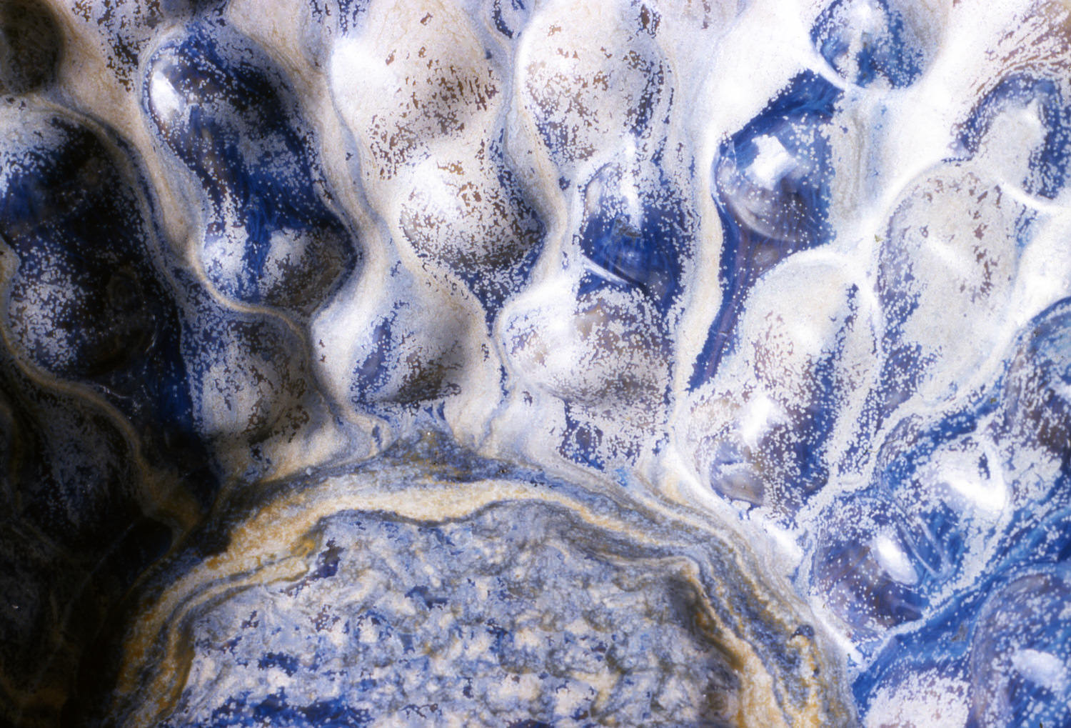 Detail Vessel 1998