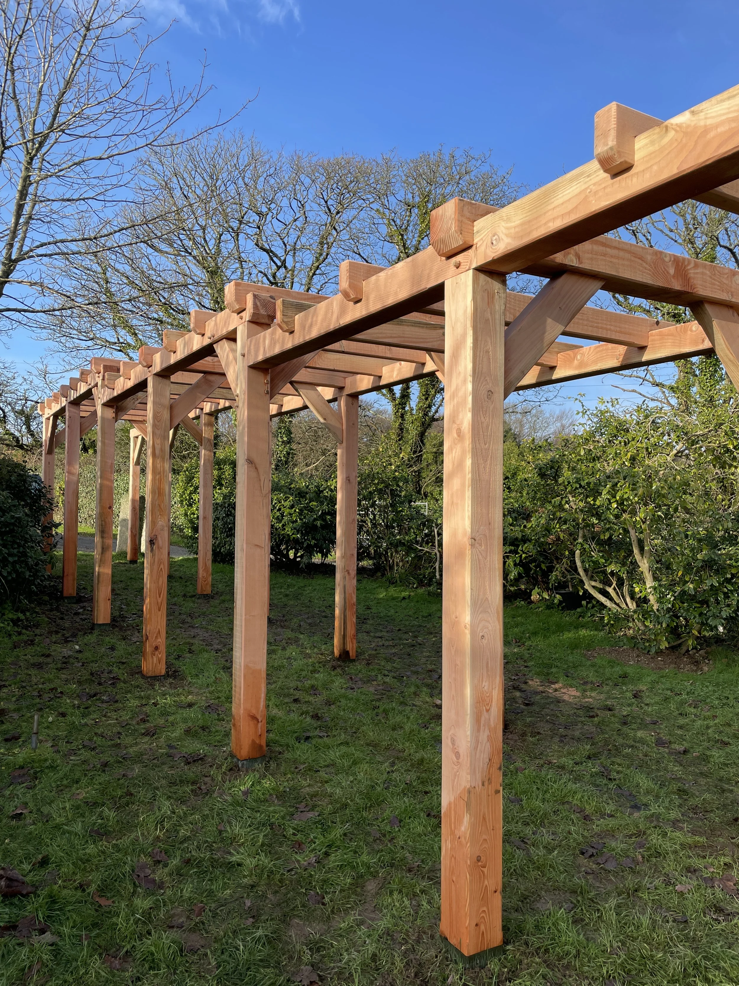 Douglas Fir Pergola 