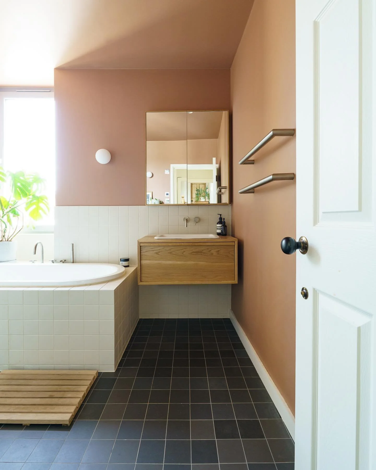 Vanity Unit and Under Sink Cabinet