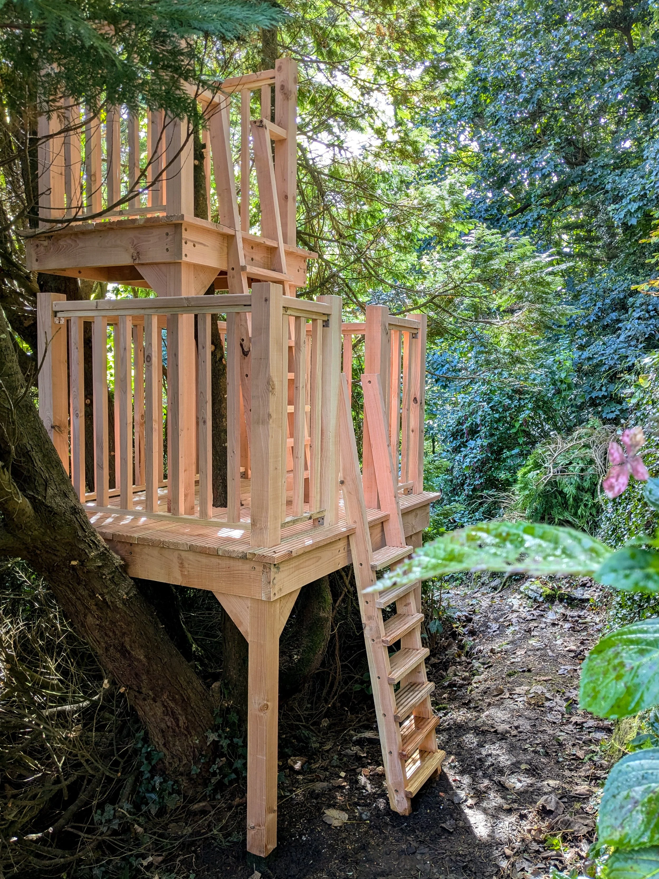 tree-platform-lookout-07.jpg