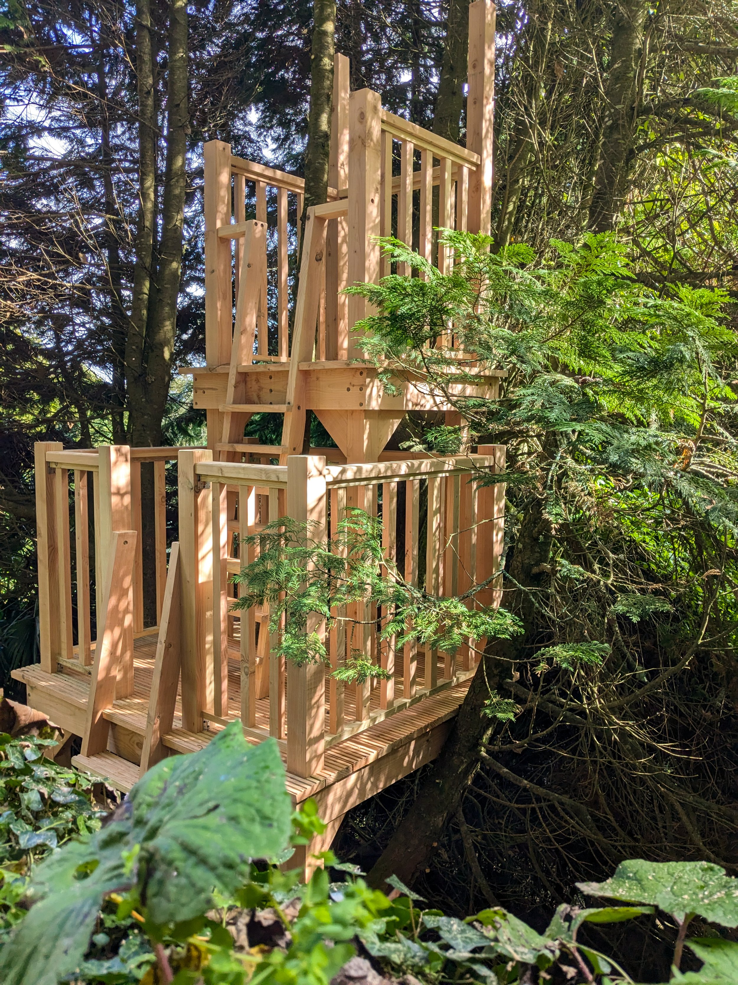 tree-platform-lookout-10.jpg