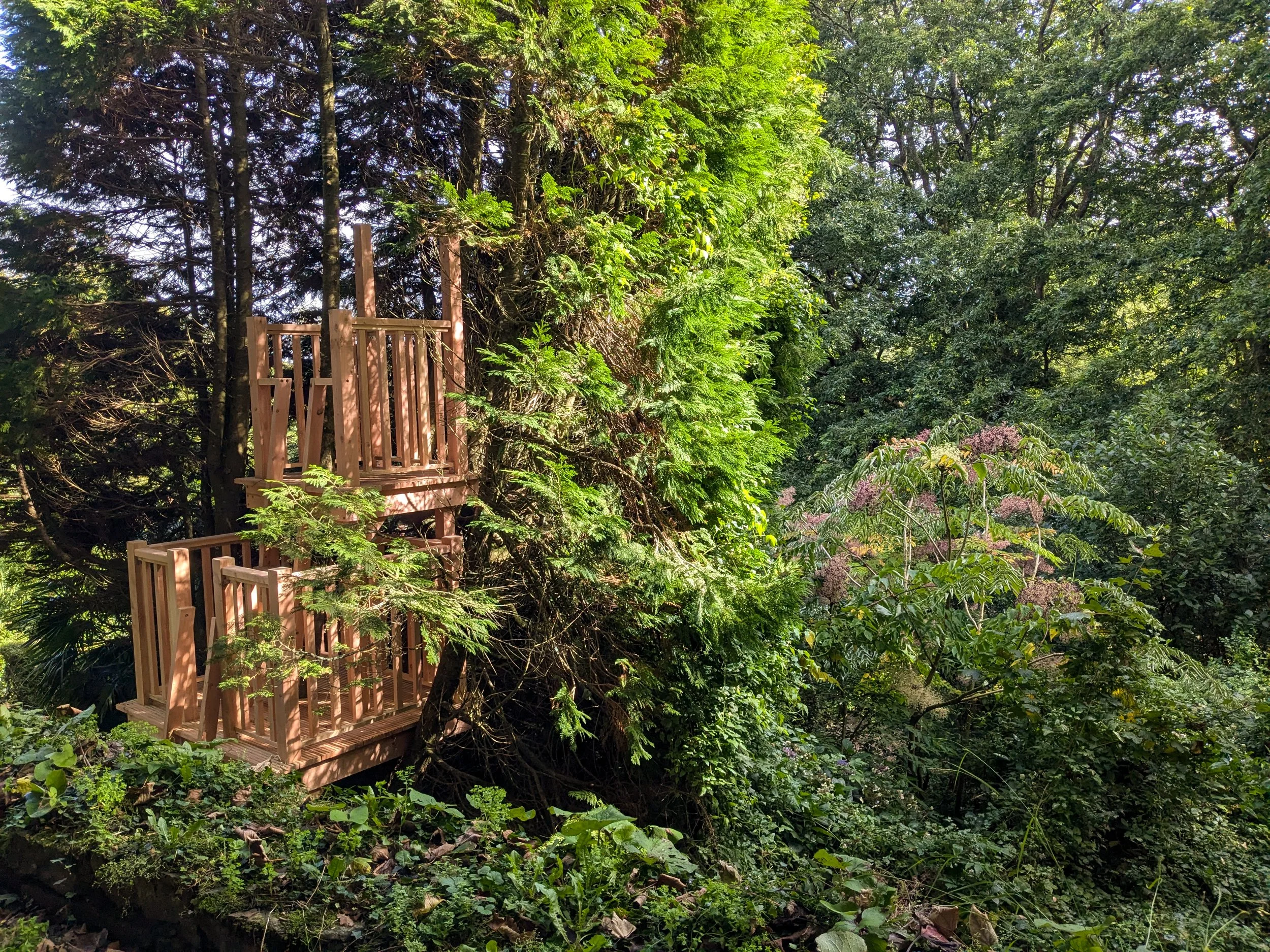 tree-platform-lookout-12.jpg
