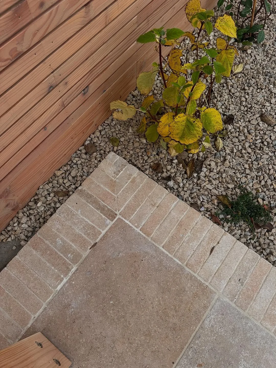 JPEG image-4B55-9DE1-61-4.jpeg