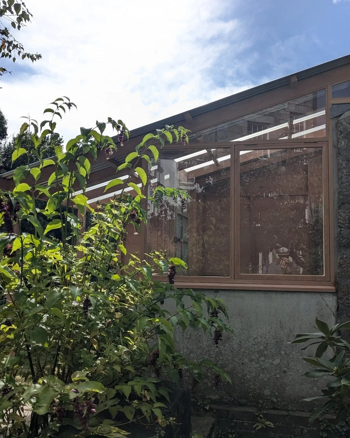 Greenhouse-style garden room with an extended pent roof 〰️

Crafted with reclaimed timber, locally sourced kiln-dried larch, and a unique blend of corrugated metal and plastic roofing, this garden room is set to transform the long-forgotten foundatio