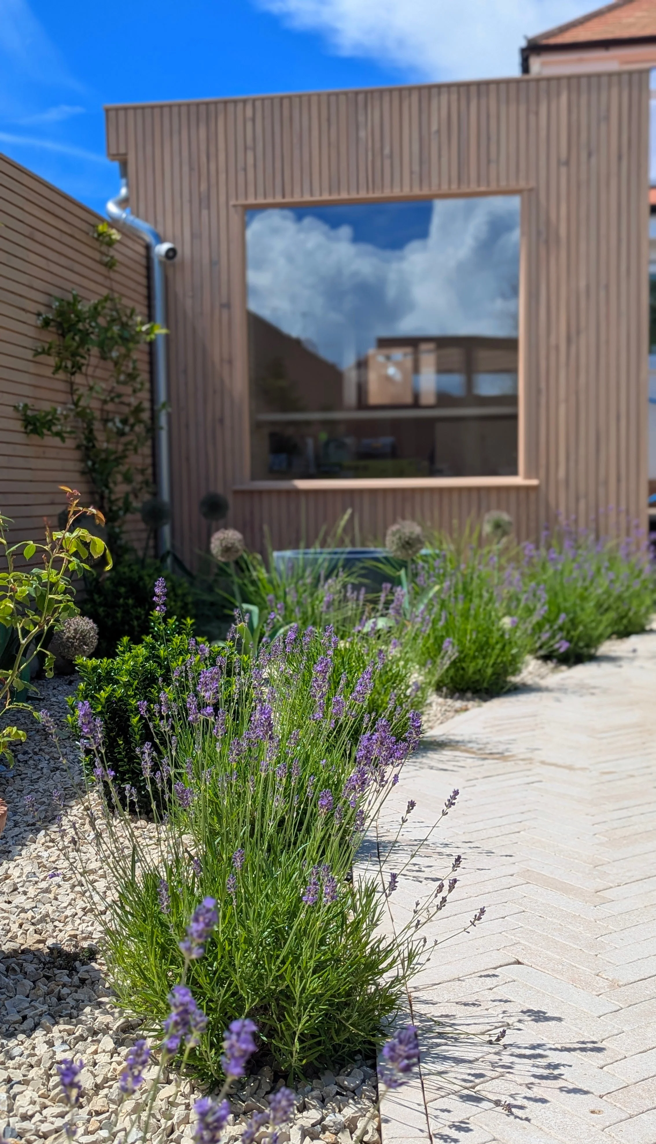 Garden Renovation: Featuring a Lean-to, Cabin, Pergola, and More