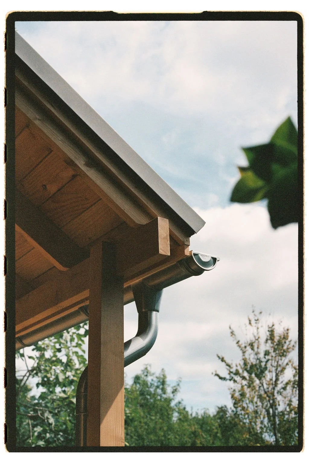  film photo by  George Harper  