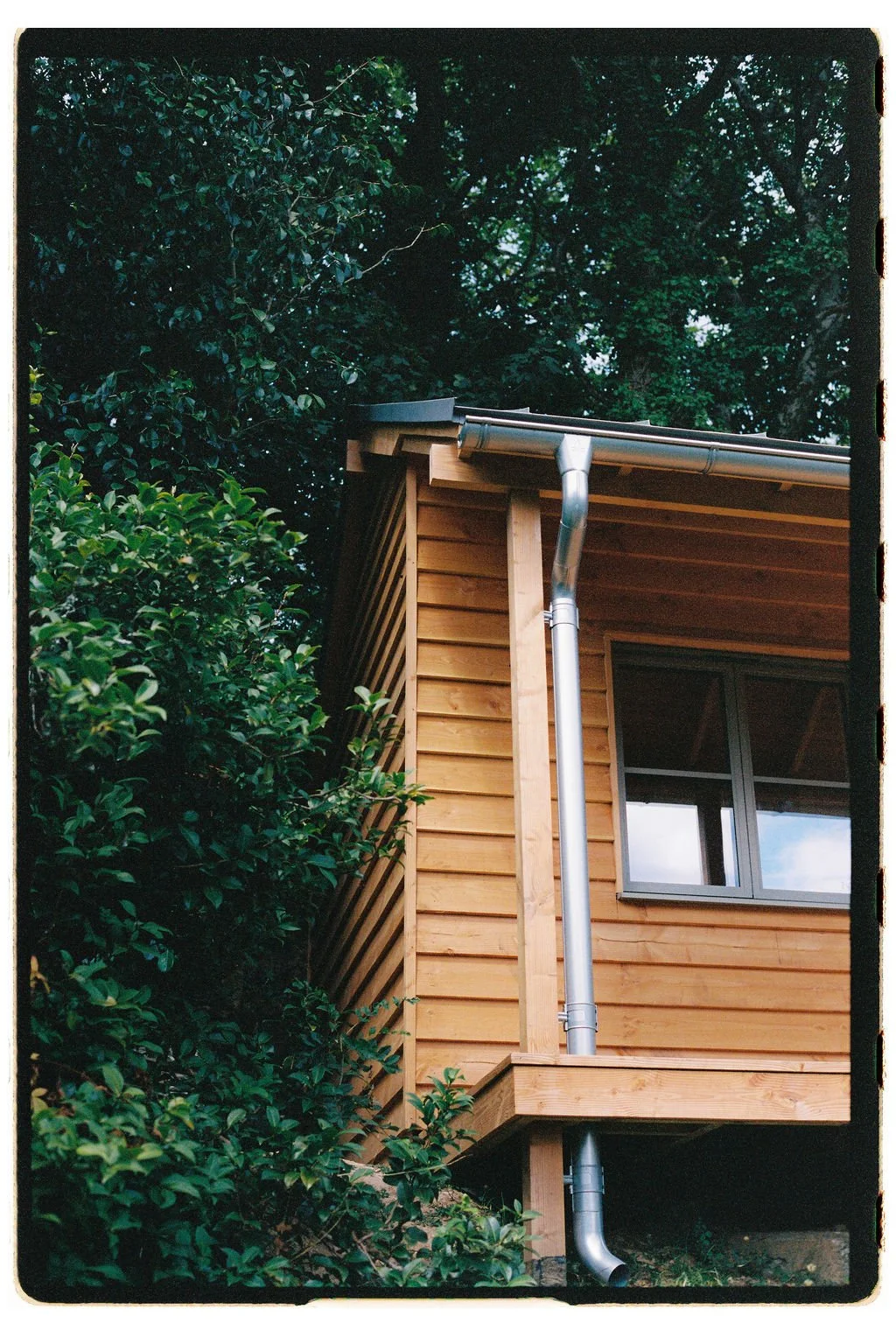  film photo by  George Harper  