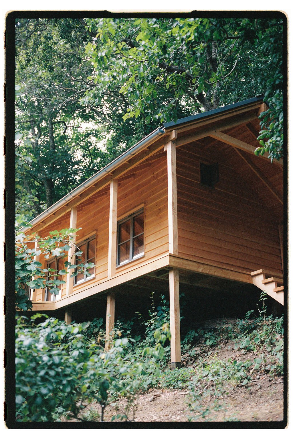  film photo by  George Harper  