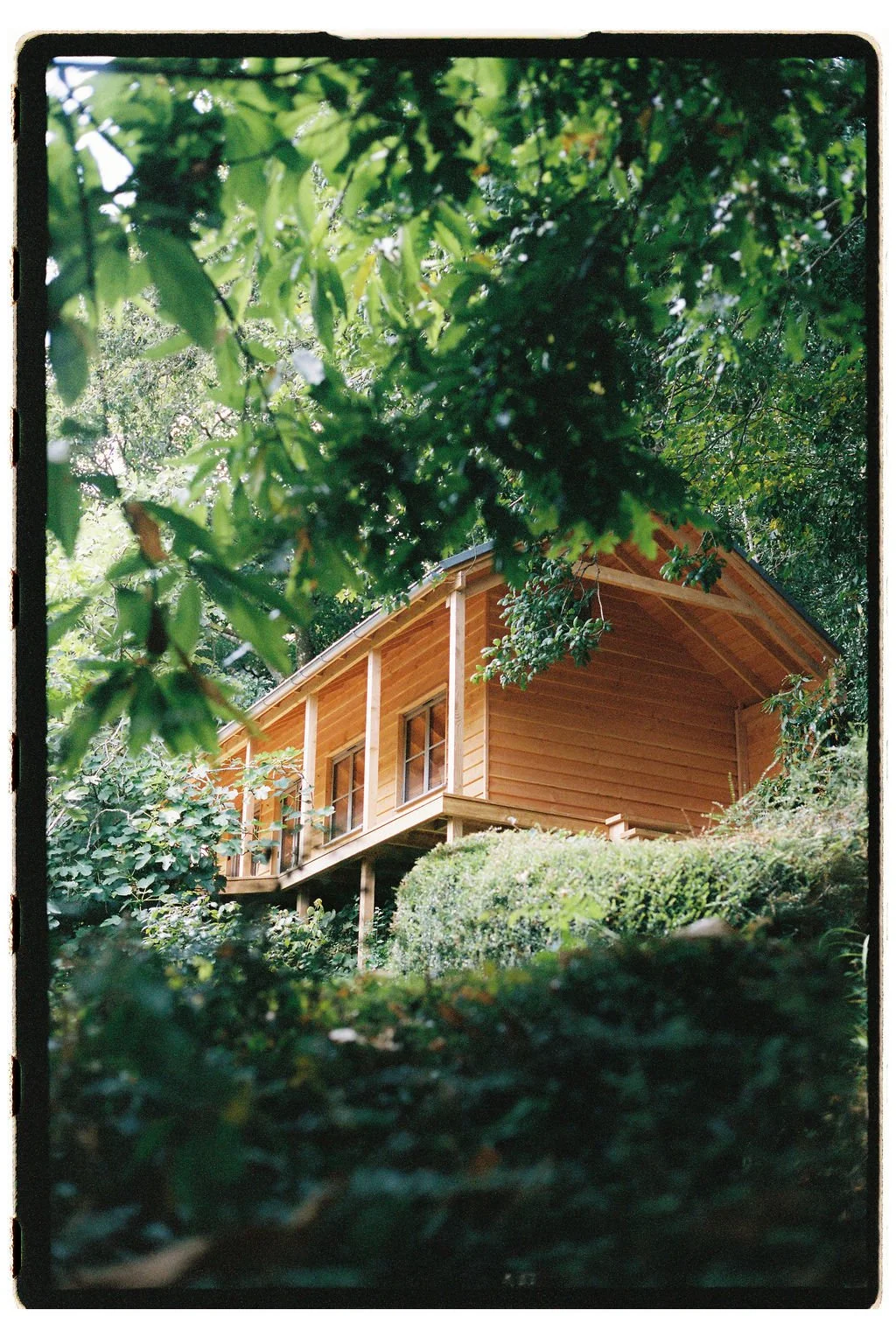  film photo by  George Harper  