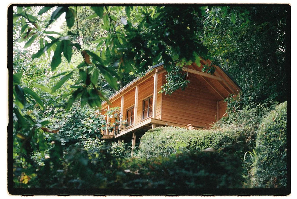  film photo by  George Harper  