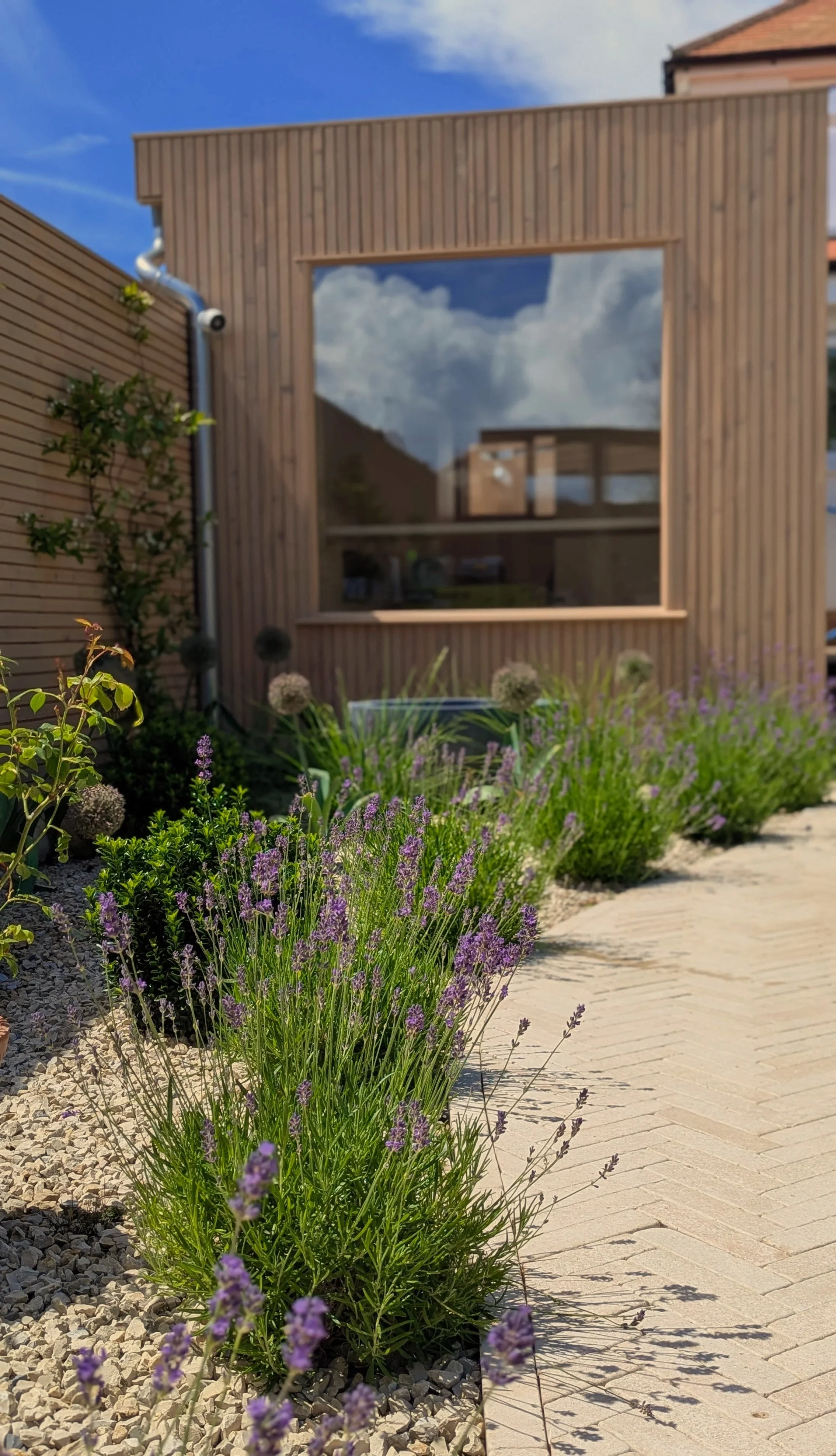 Garden Renovation: Featuring a Lean-to, Cabin, Pergola, and More