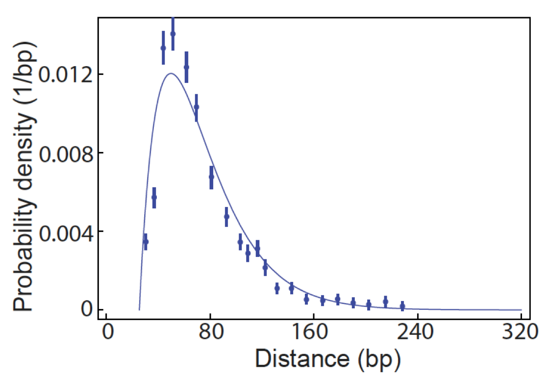Distribution of initiation times reveals mechanisms of transcriptional regulation in single cells (2018) Sandeep Choubey, Jane Kondev, Alvaro Sanchez. Biophysical Journal 114, 2072–2082