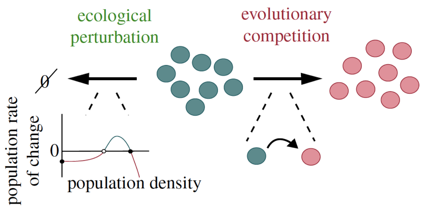 Cooperators tradeoff ecological resilience and evolutionary stability in public goods games (2017) Joseph Rauch, Jane Kondev, Alvaro Sanchez. Journal of the Royal Society Interface 14 (127), 20160967