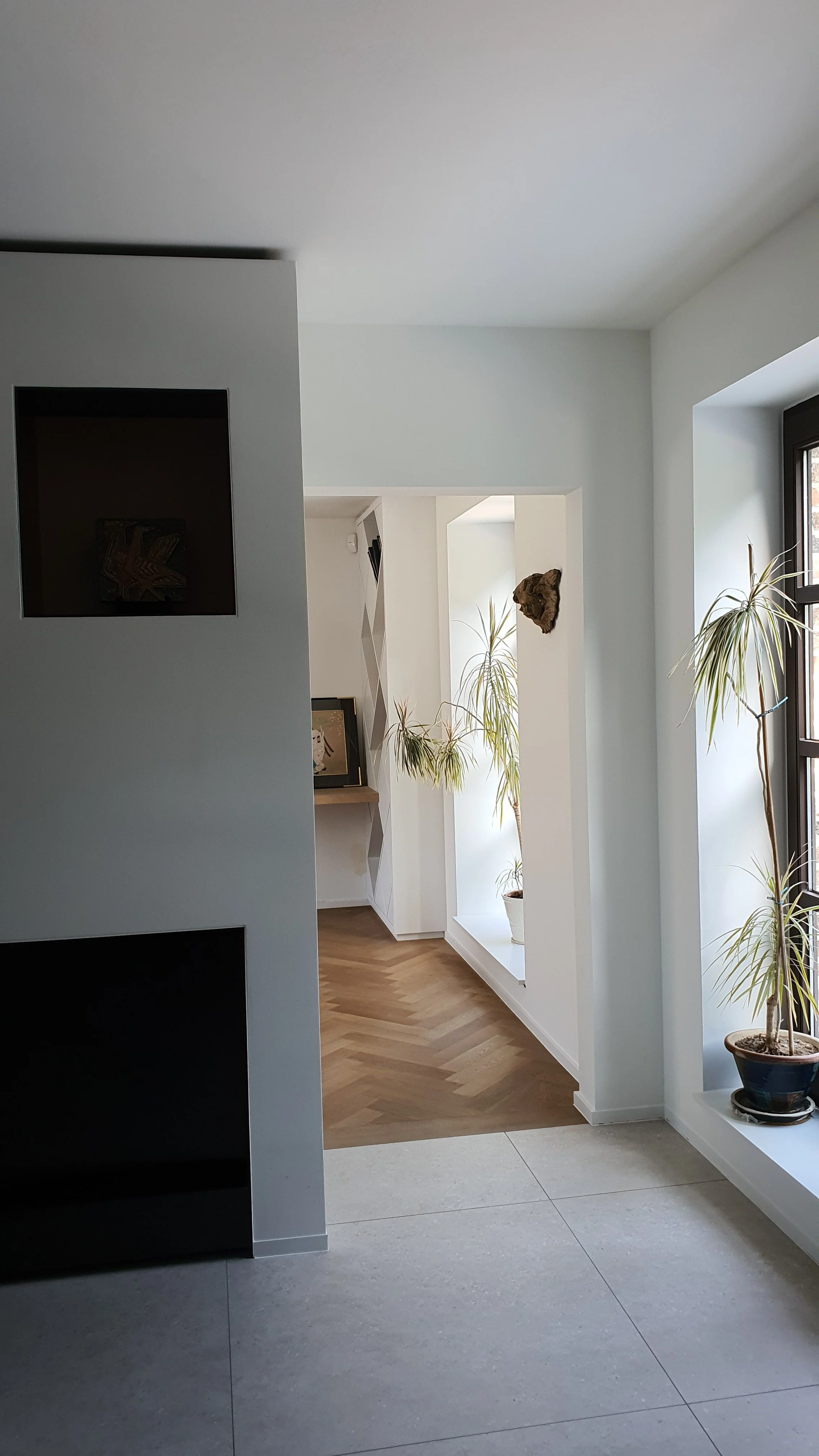Interior view of a modern residential space with white walls, wooden flooring, and potted houseplants by the window.