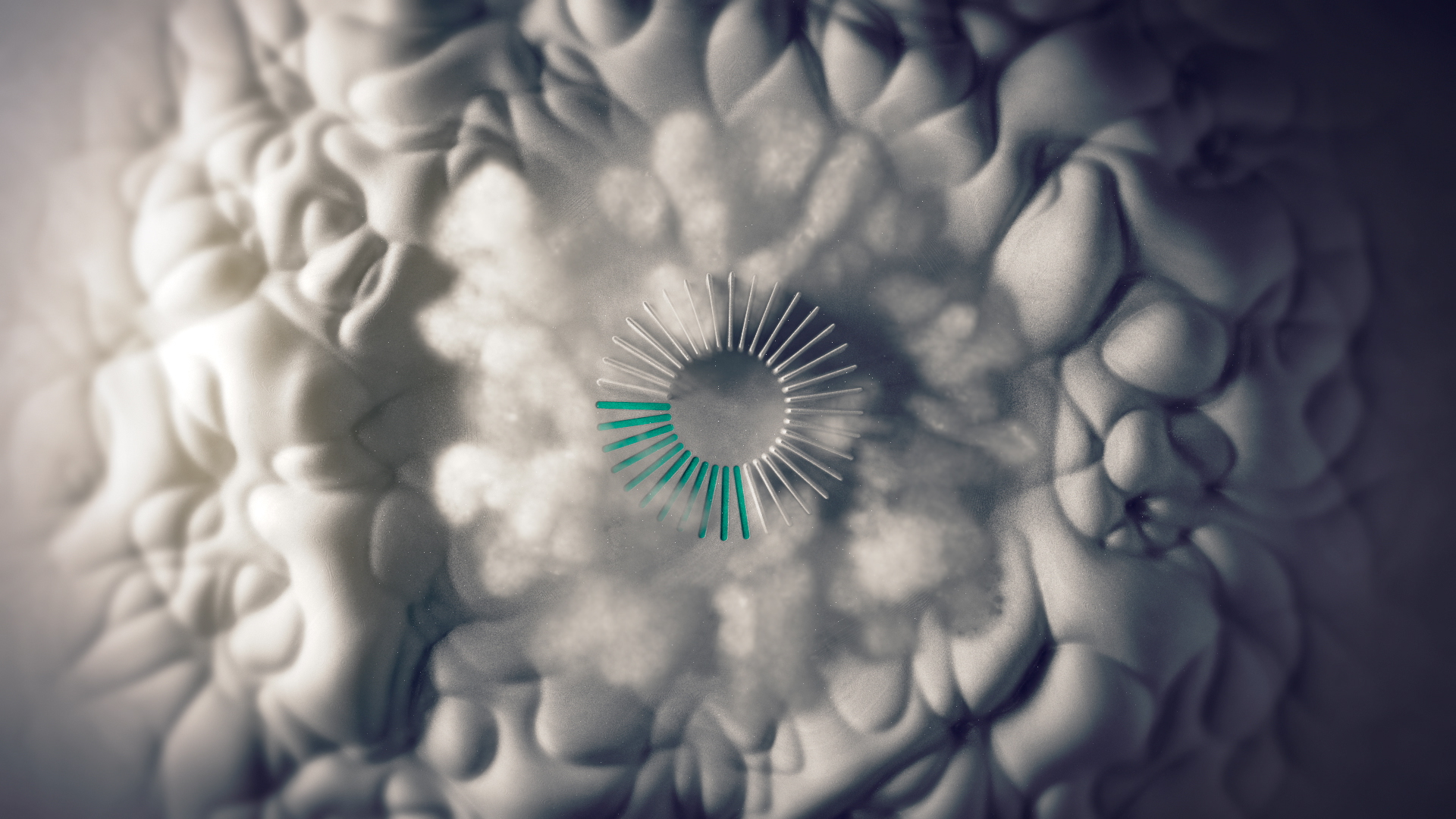 Autodesk Vision Series