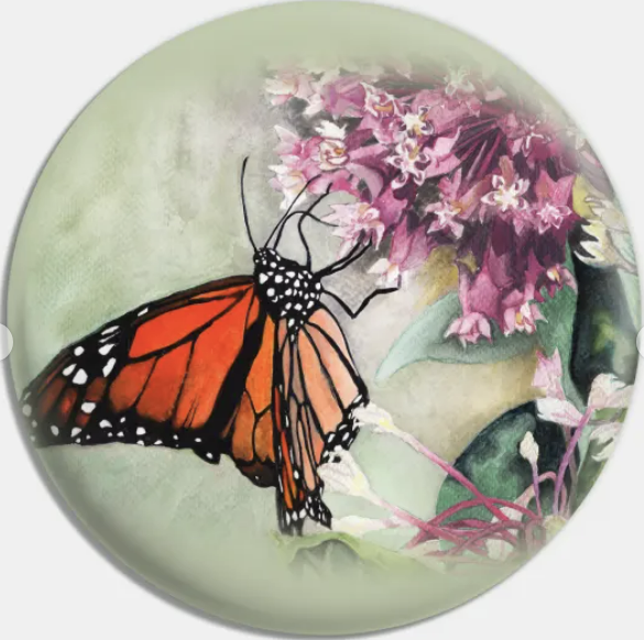 Monarch on Milkweed Pinback Button