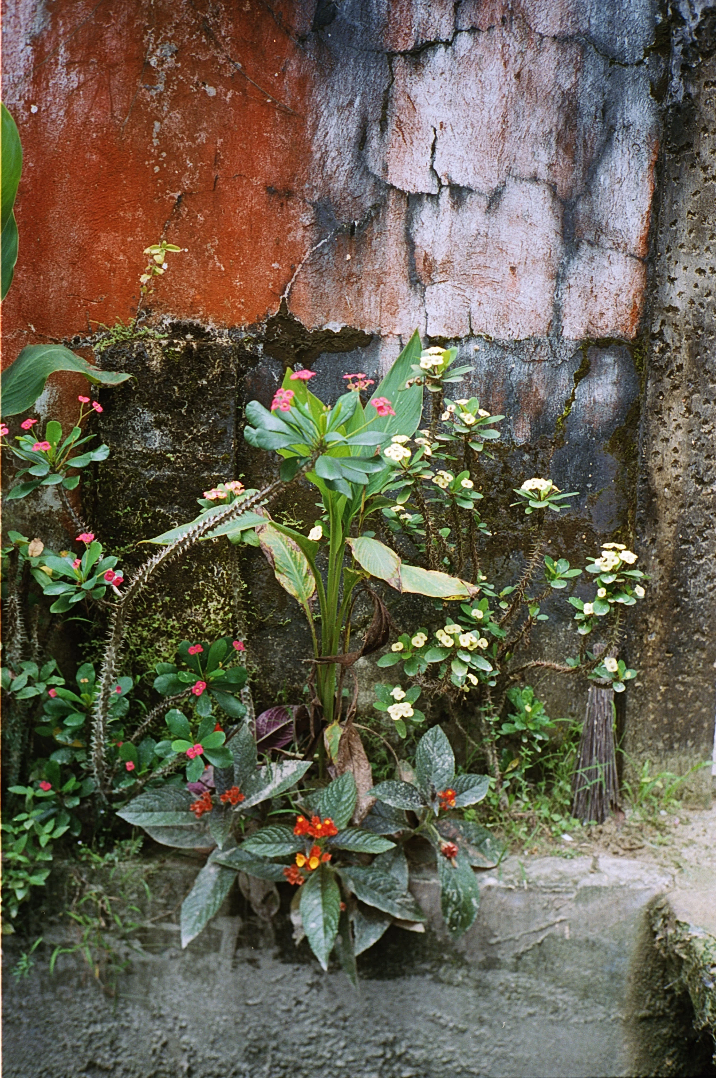 filipinas web 67.jpg