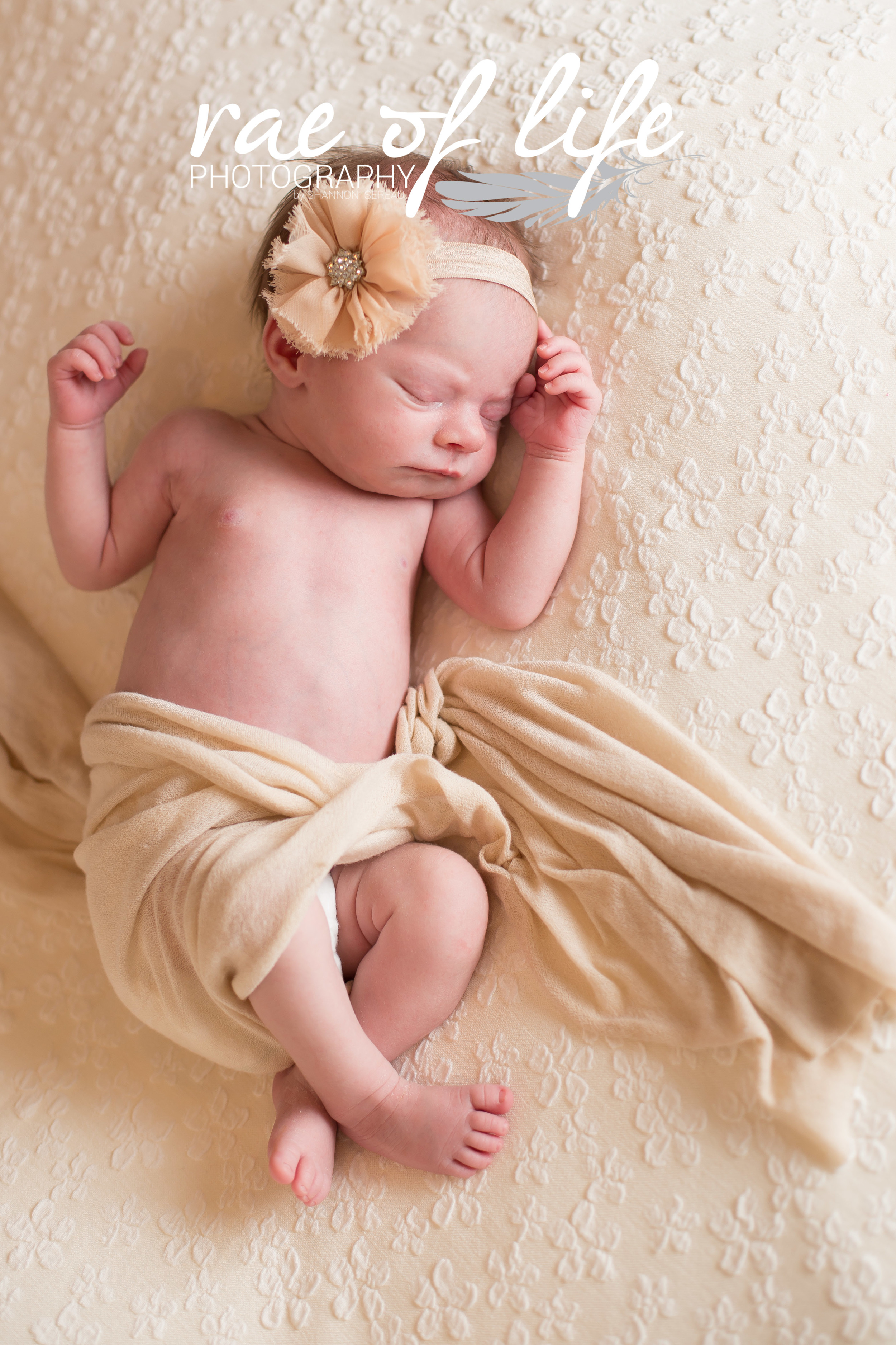Jolie Newborn-0051.jpg