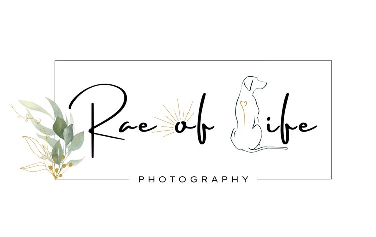 Rae of Life Photography