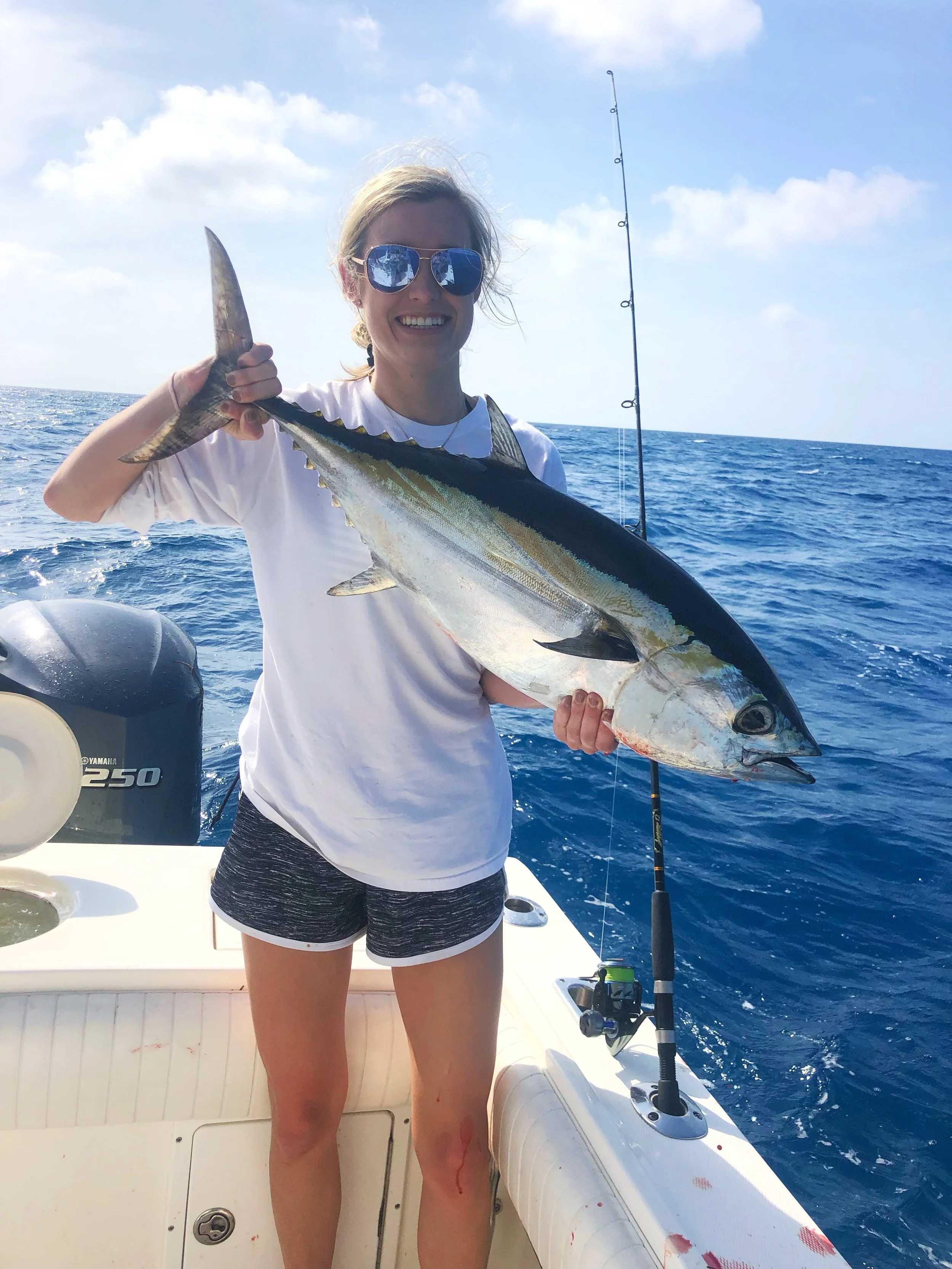 Blackfin Tuna