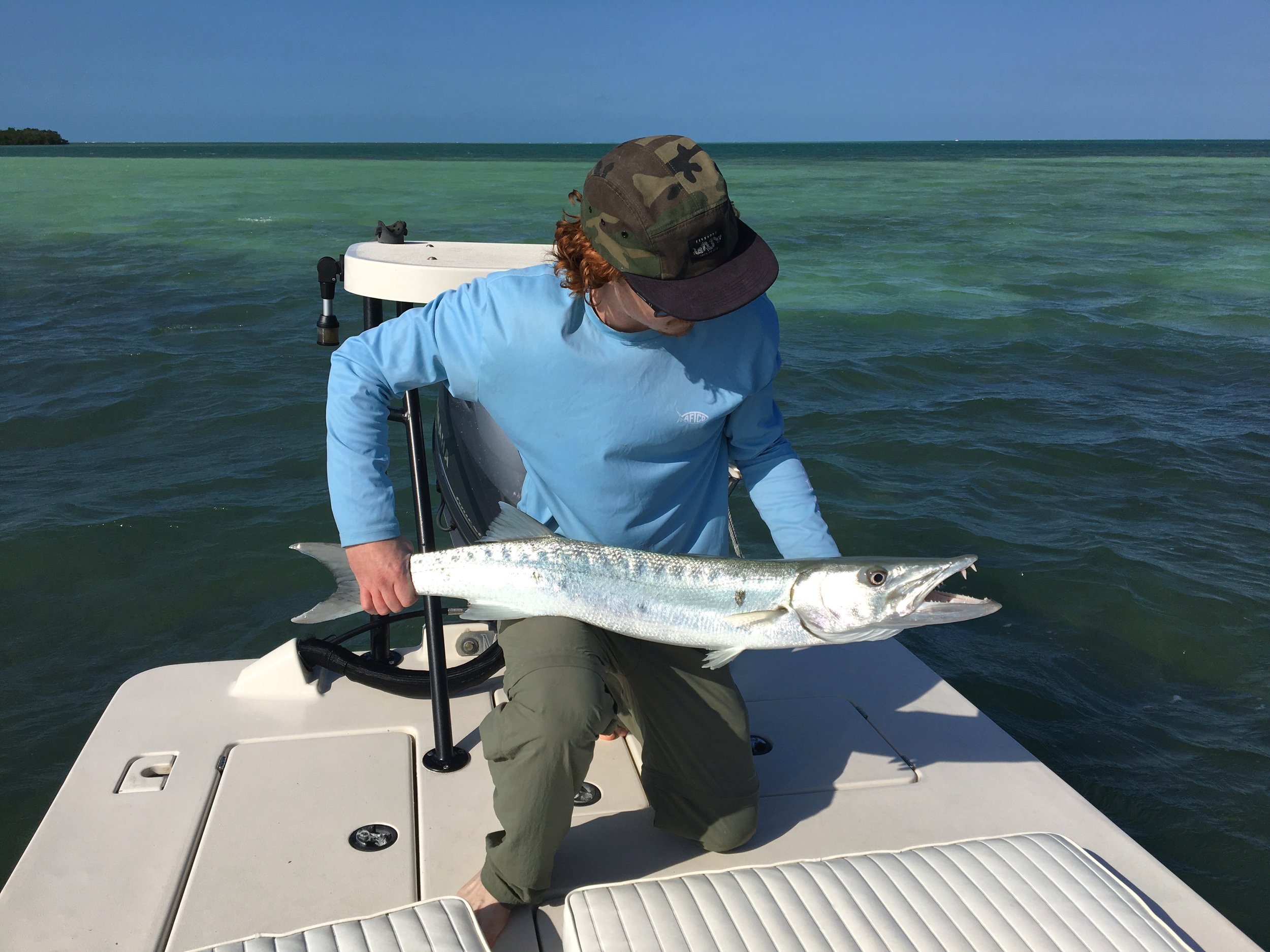 Barracudas
