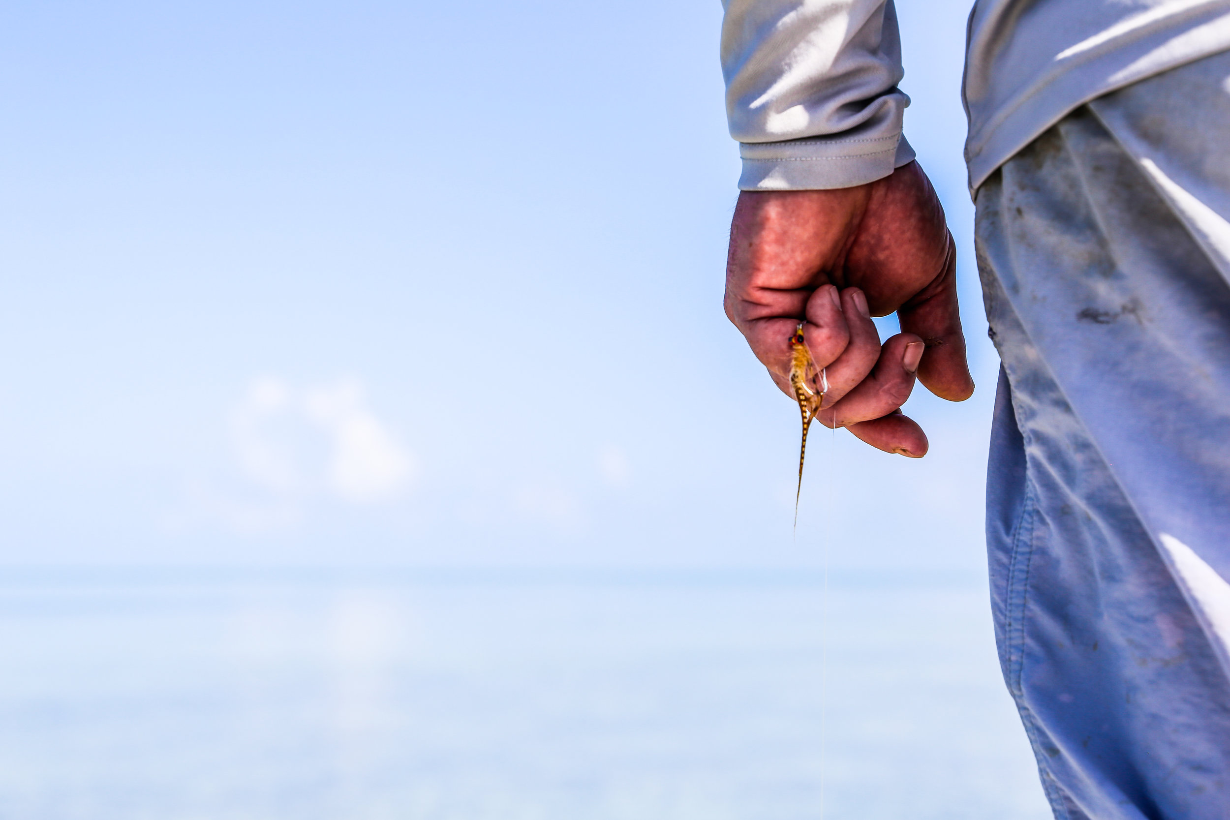 Fly Fishing.jpg