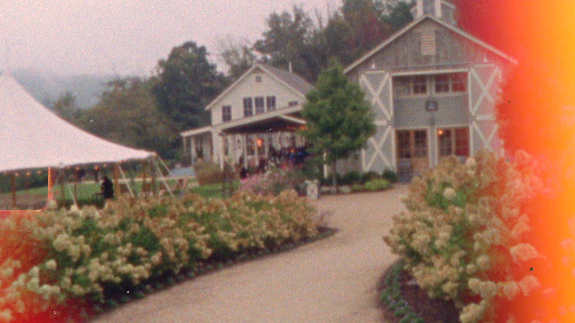 pippinhills8-shp-about2.png