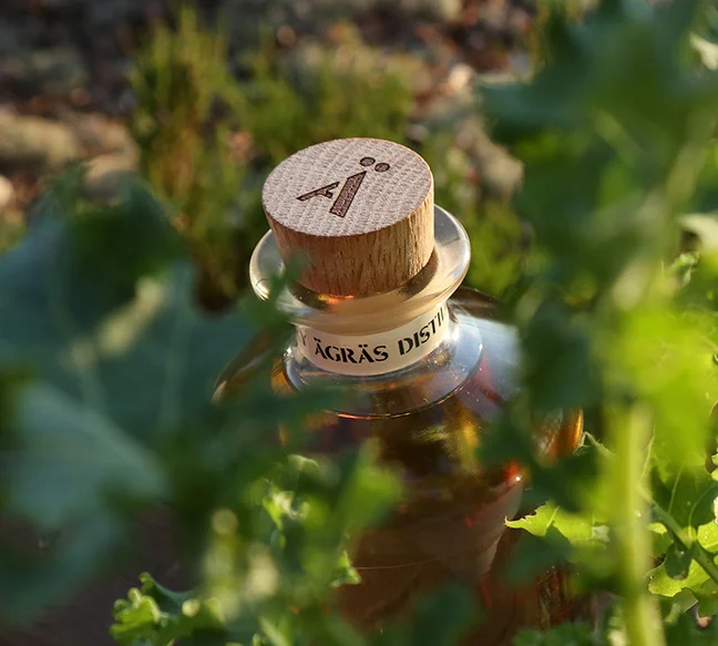 Akvavit in the bushes small.jpg