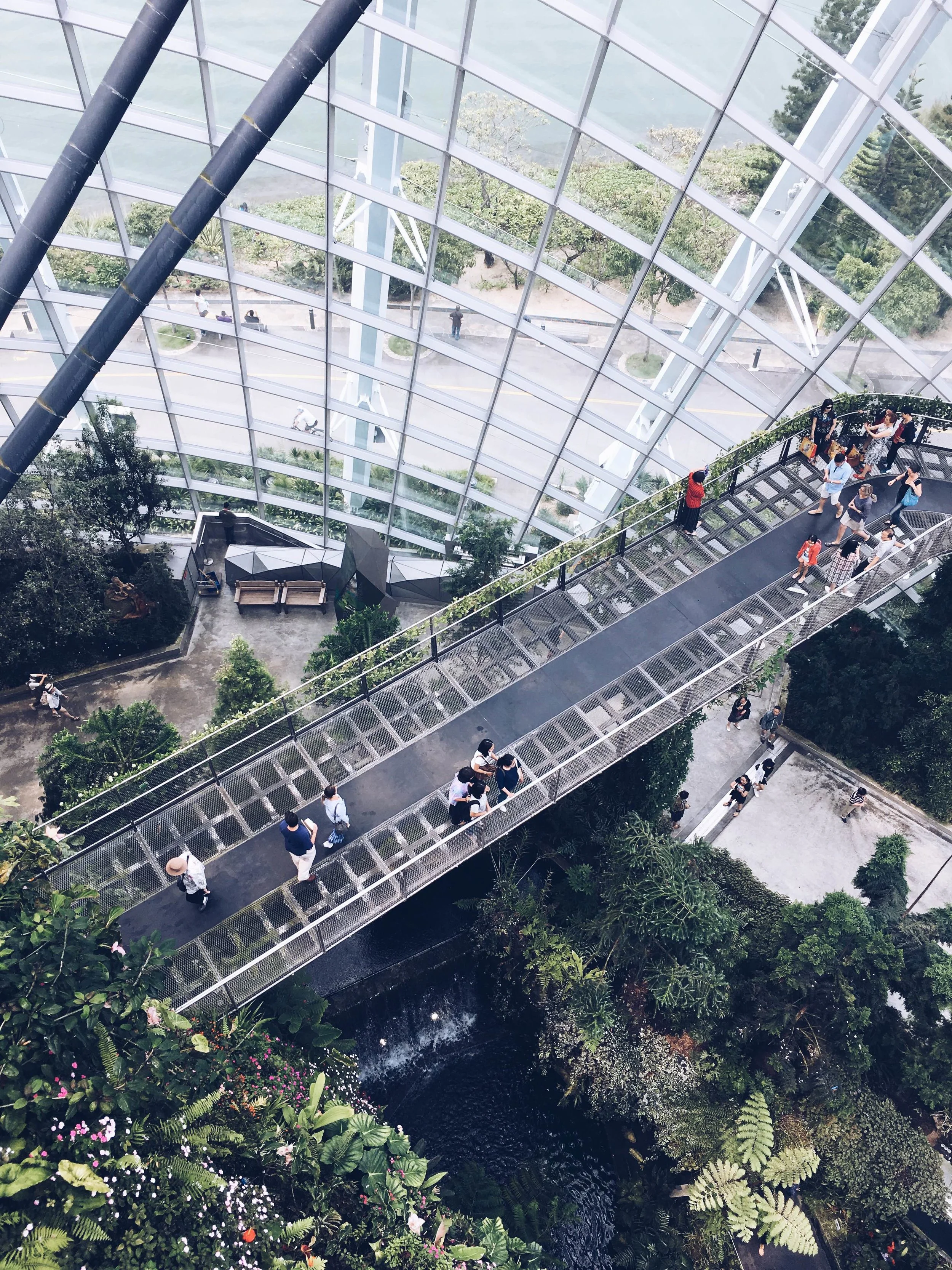 view from the top