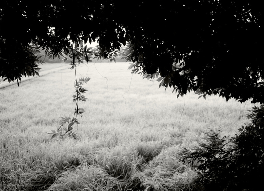 Screenshot 2026-01-26 at 15.55.05.png