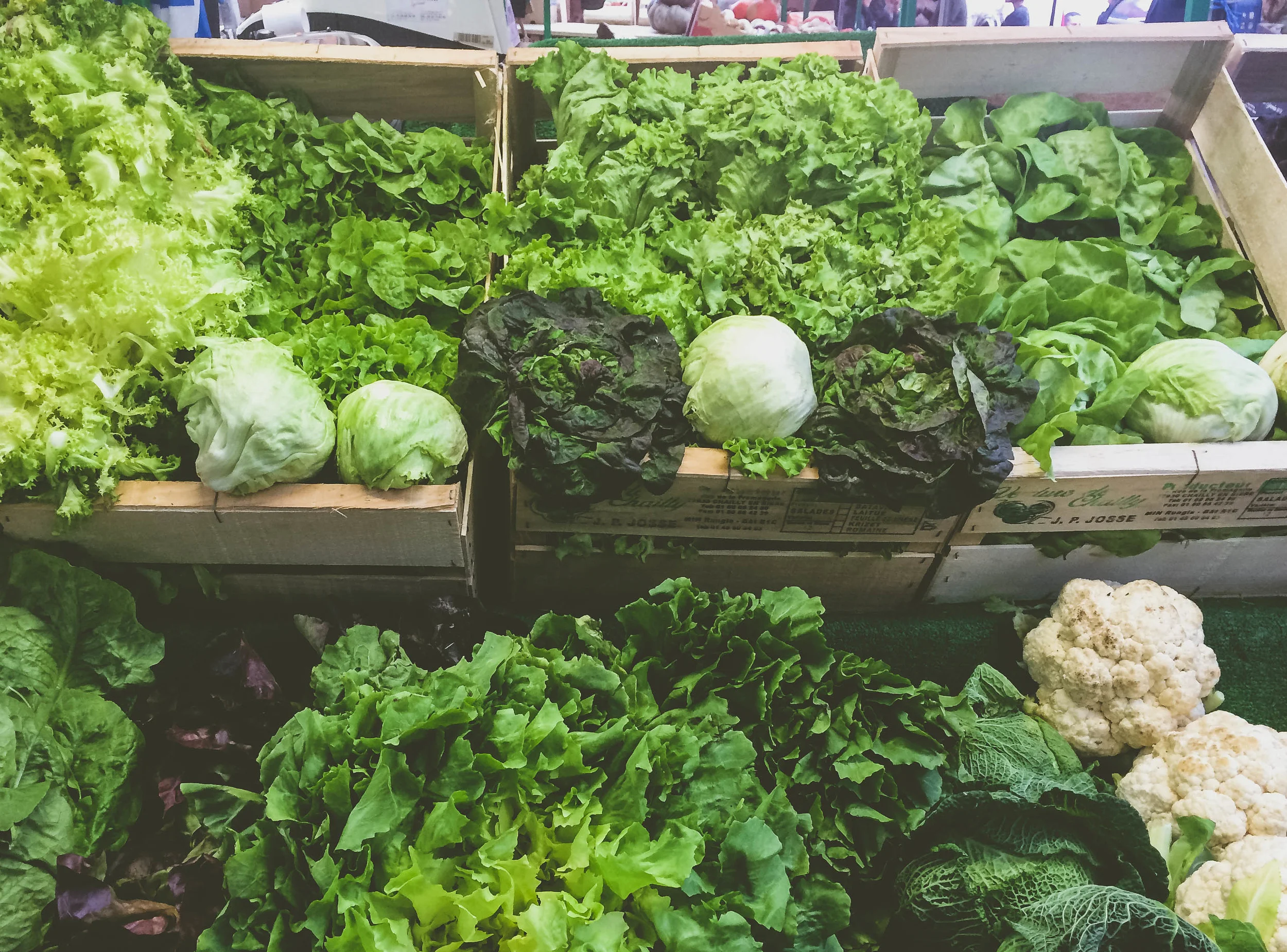 lettuce at the market