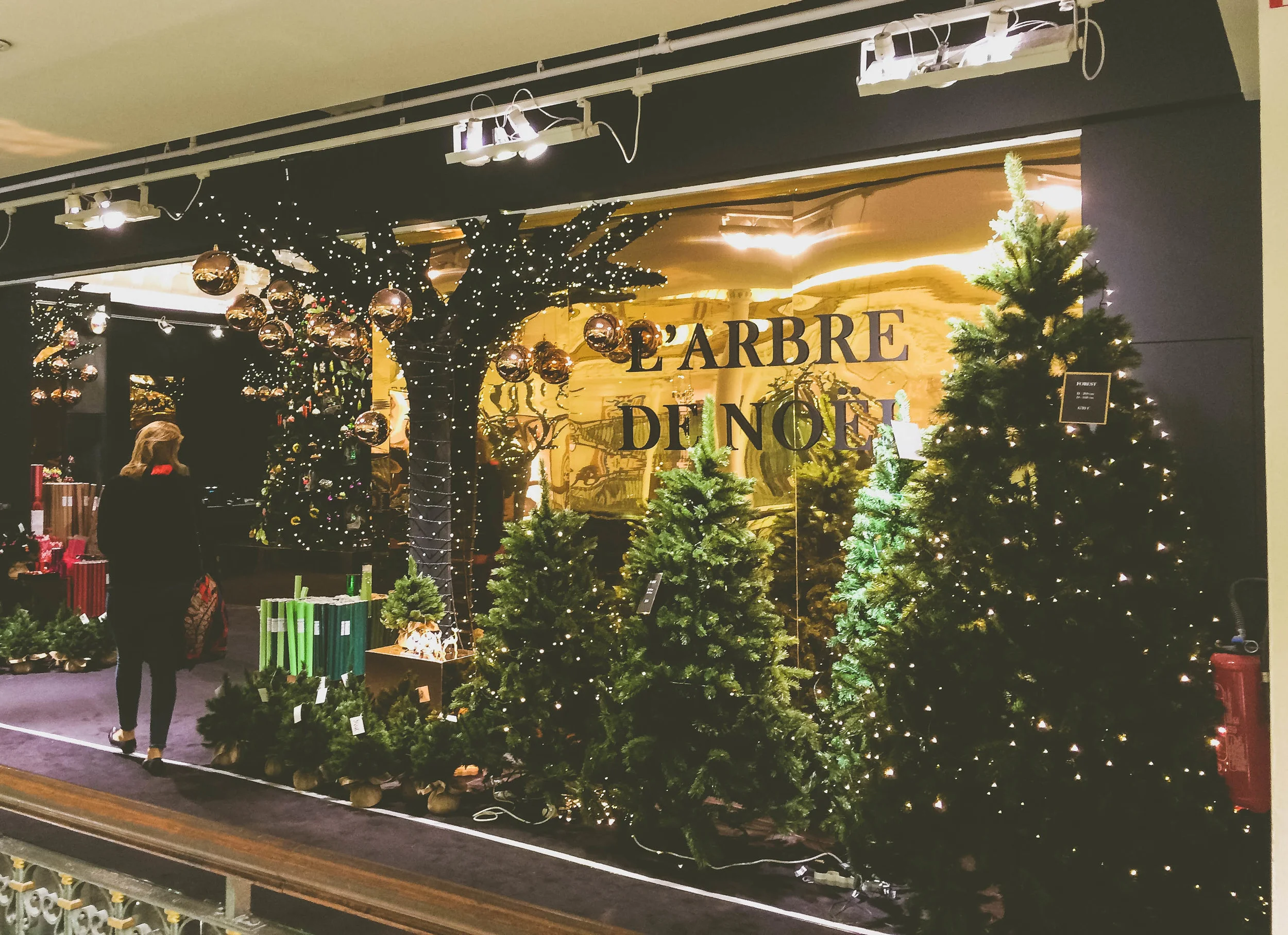 Christmas in Paris