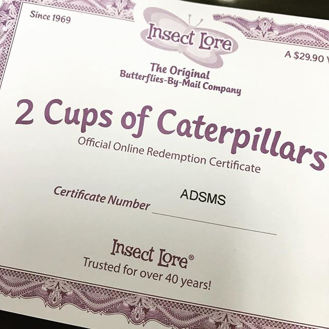 Ordering caterpillars means it’s almost time for Spring! #caterpillarstobutterflies #montessorischool #montessorikids #mdah #science #lifecyle #learningisfun #bestschoolever