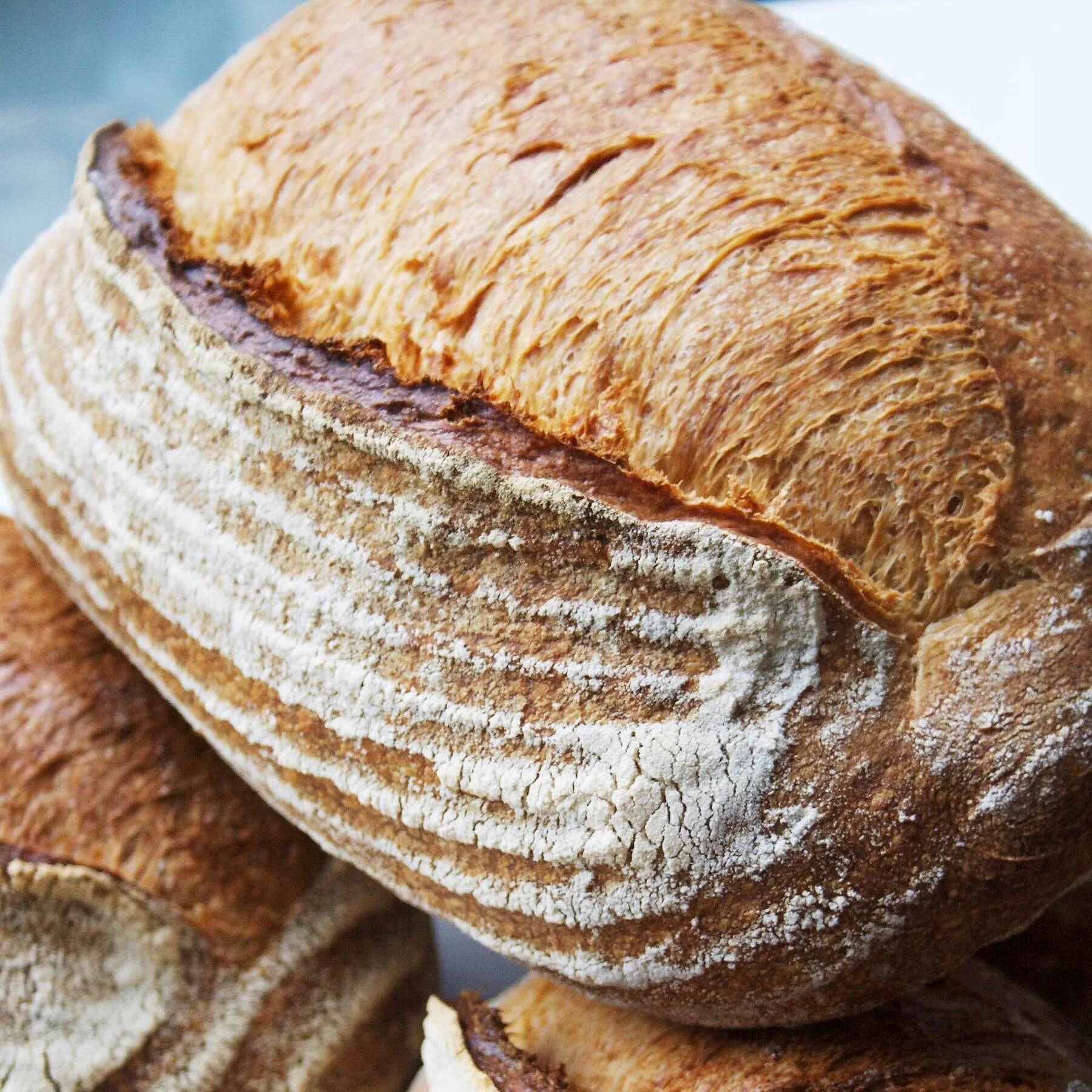 Yeast Bakery