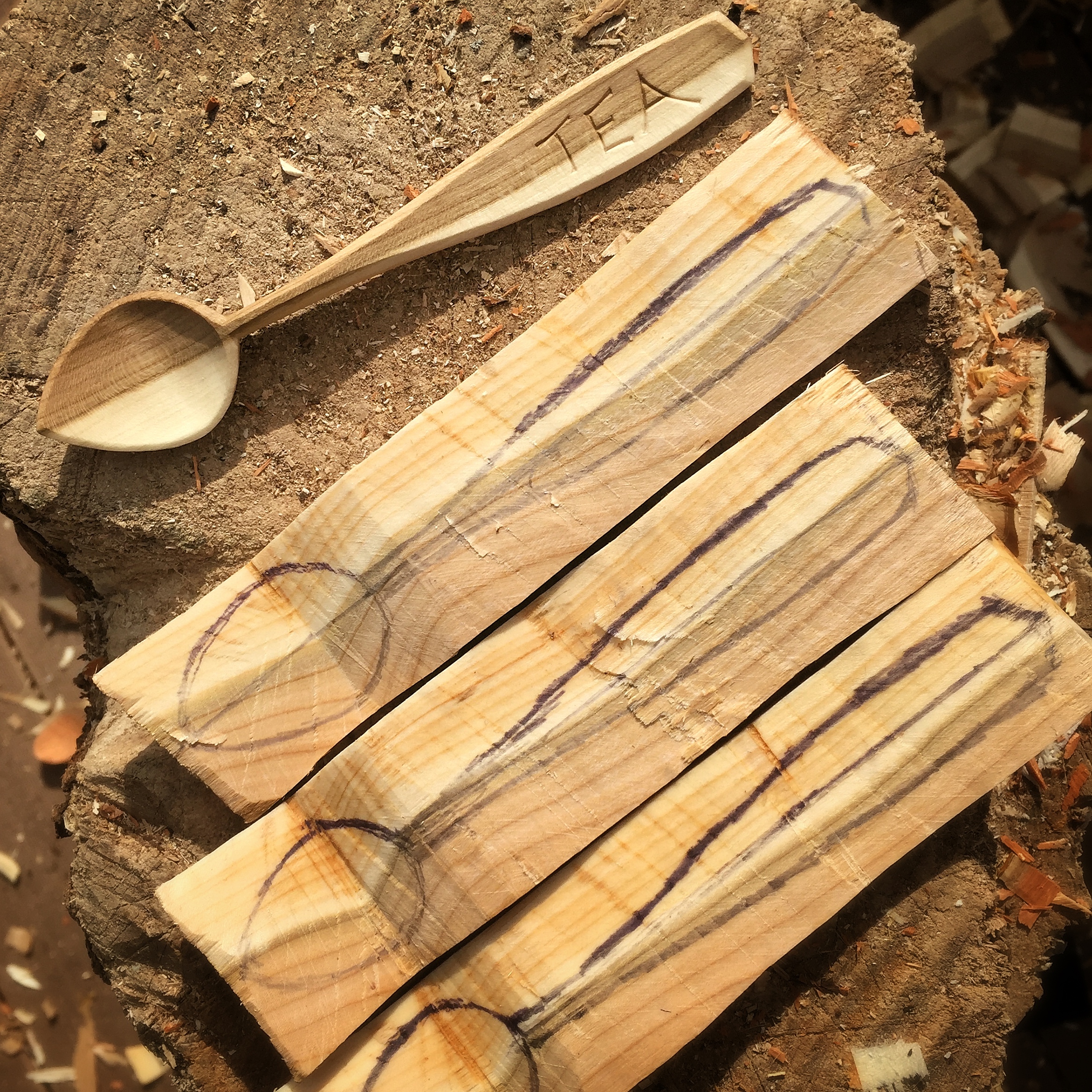 Tea Spoons ready to emerge from cherry wood.