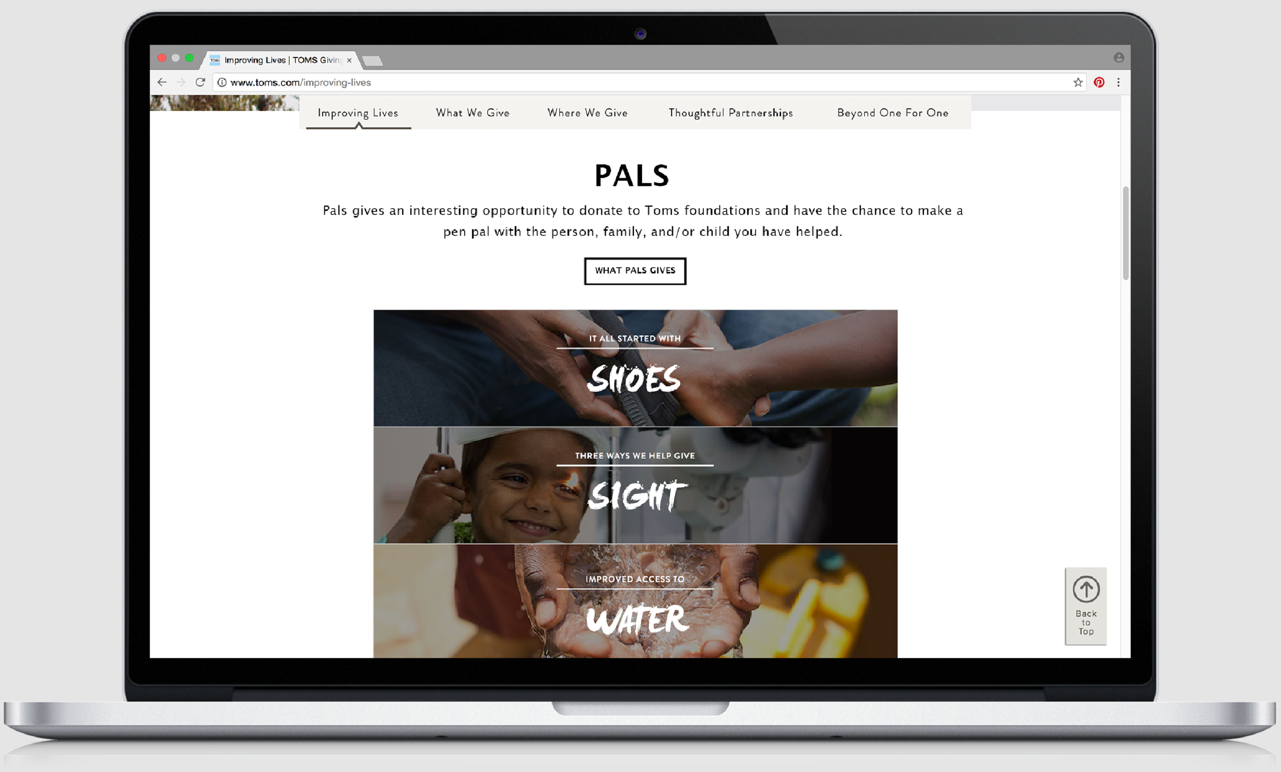 Pals_Web_1.png
