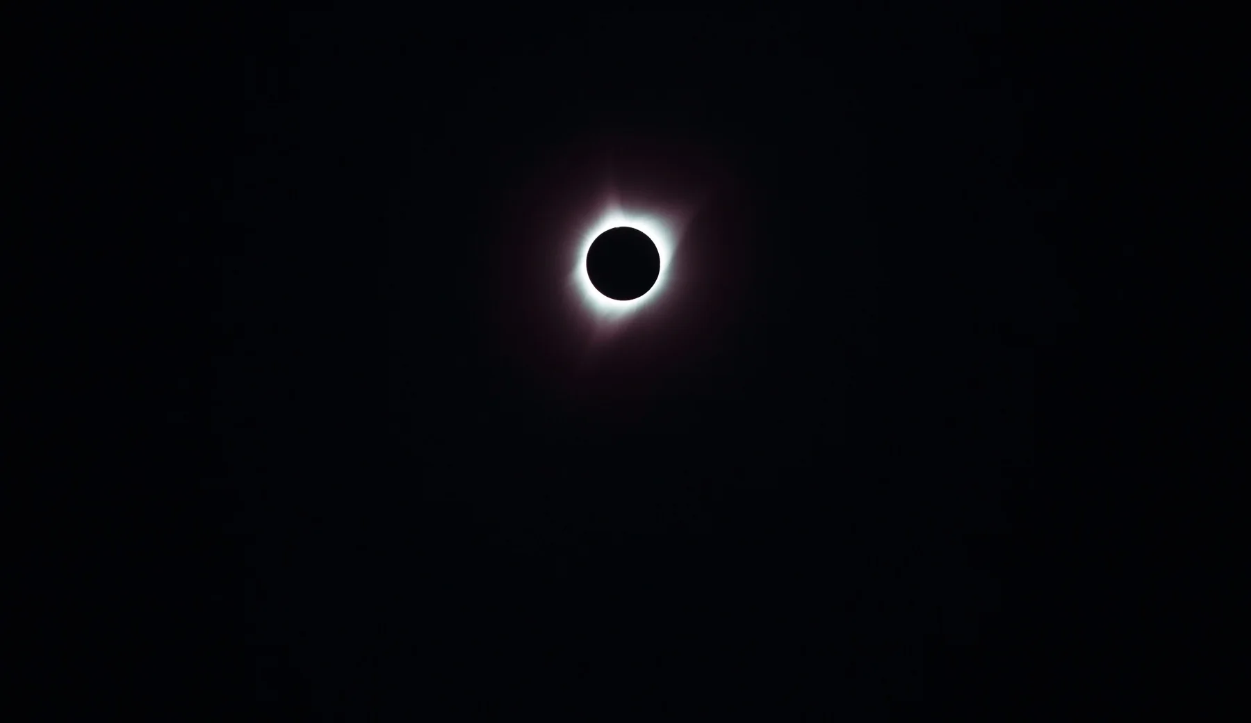 D_Kenedy_Photo_August 21, 2017_61598-Edit_web.jpg