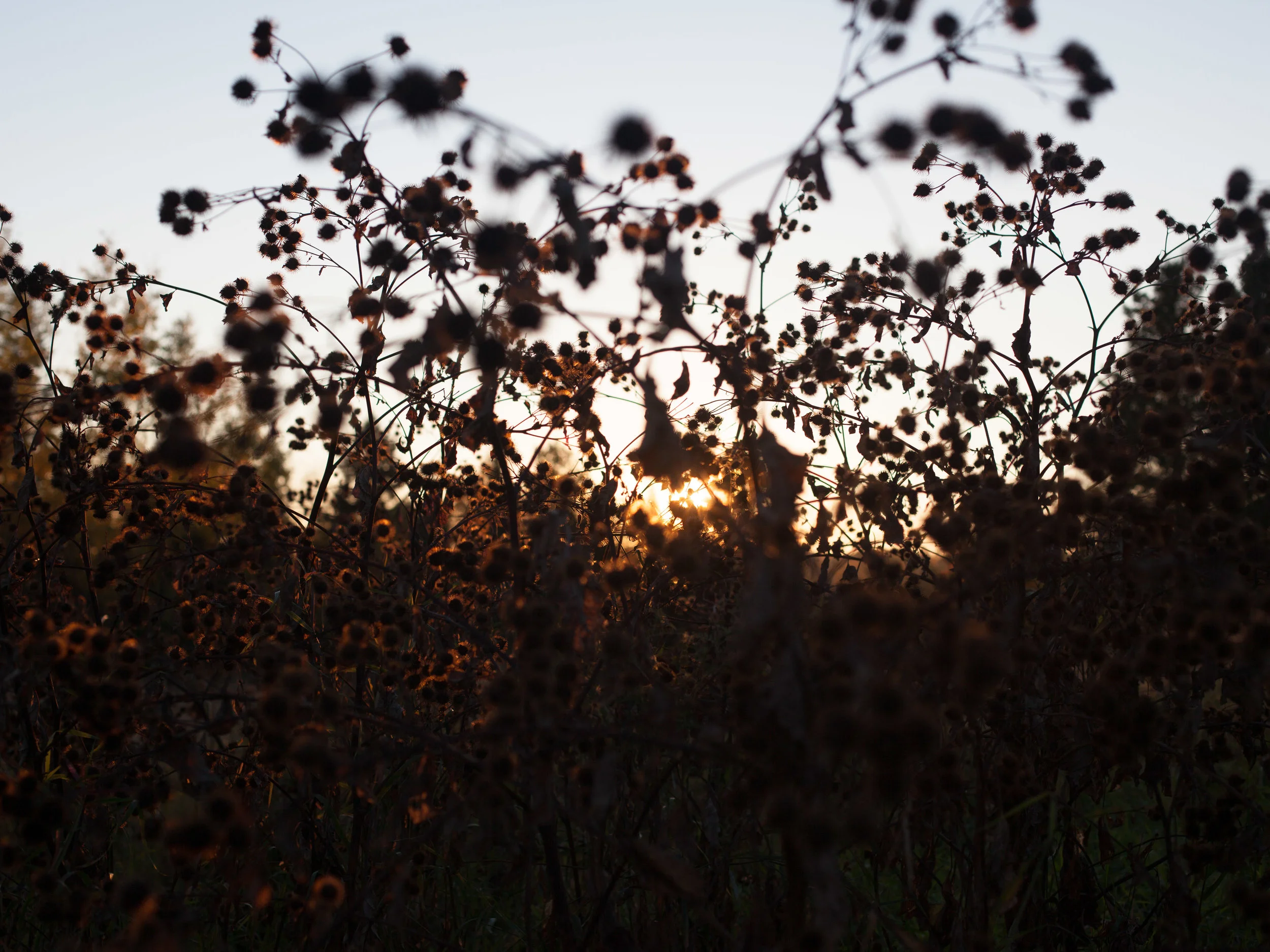 004_20141005_D_Kenedy_Photo_October 05, 2014_01132_web_900.jpg