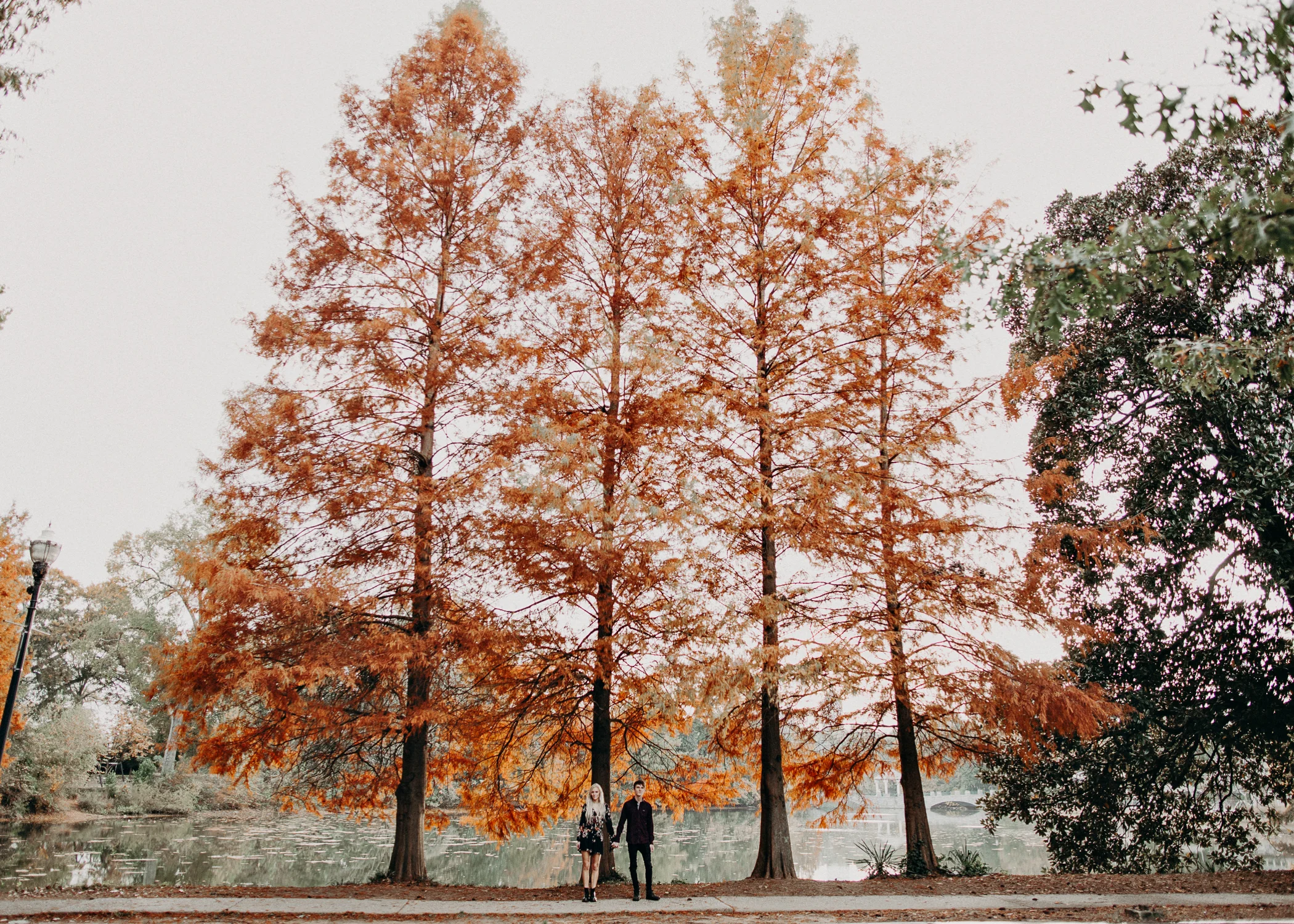 Mimi & Tobie || Piedmont Park Engagement Session || Atlanta,Ga Wedding Photographer |