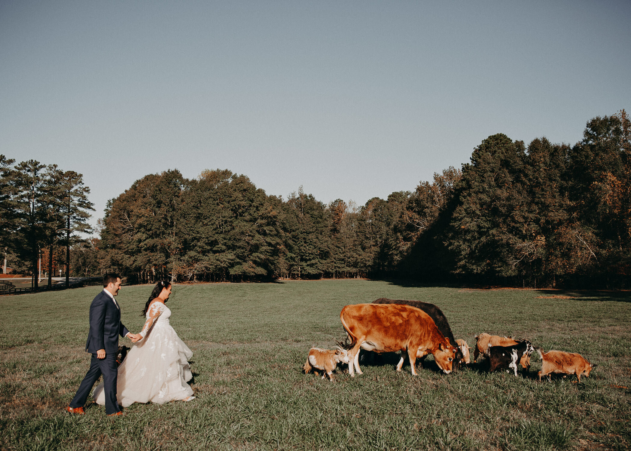 Cheery_Hollow_Farm_Atlanta_Wedding_Photography_Aline_Marin68.jpg