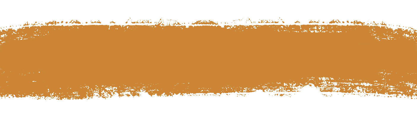 Aline Marin Photography