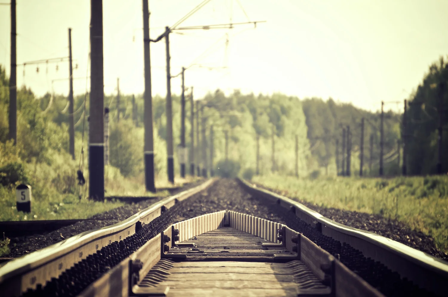 Image by alexander shustov